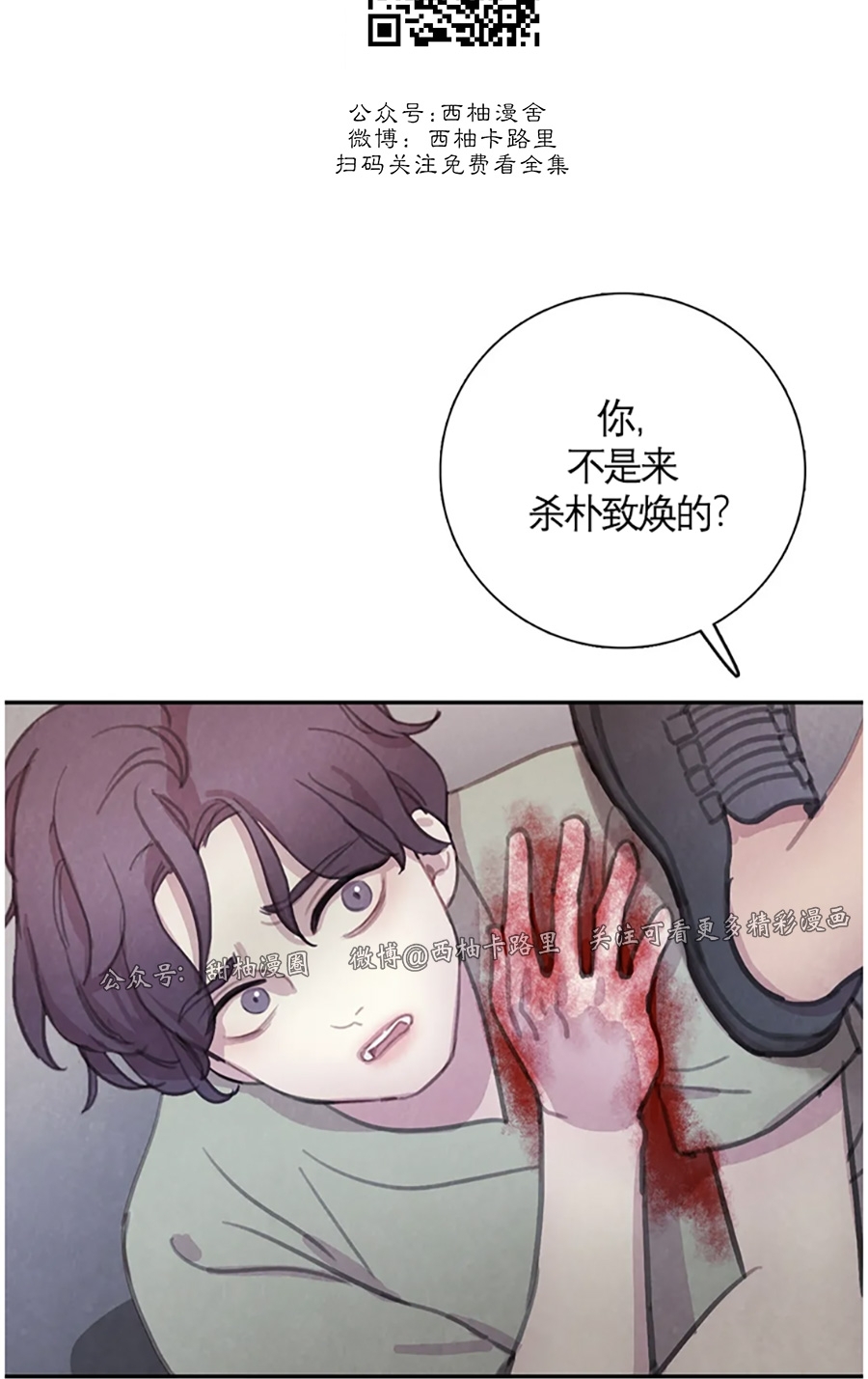 《与蝙蝠共餐/与吸血鬼共餐/与血族共生》漫画最新章节番外5免费下拉式在线观看章节第【38】张图片