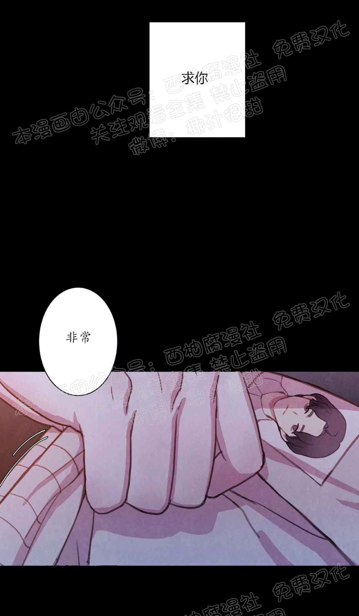 《与蝙蝠共餐/与吸血鬼共餐/与血族共生》漫画最新章节第03话免费下拉式在线观看章节第【52】张图片