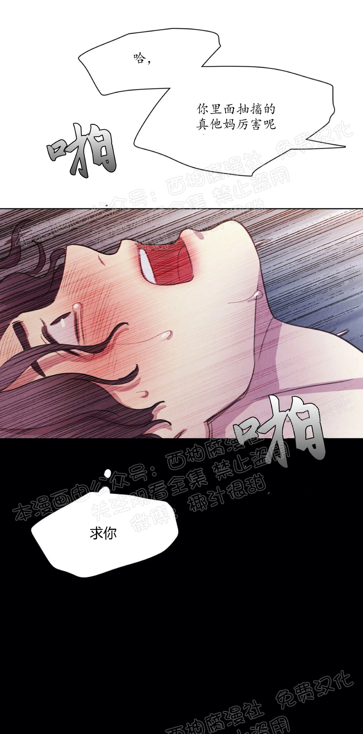 【与蝙蝠共餐/与吸血鬼共餐/与血族共生[耽美]】漫画-（第03话）章节漫画下拉式图片-第49张图片