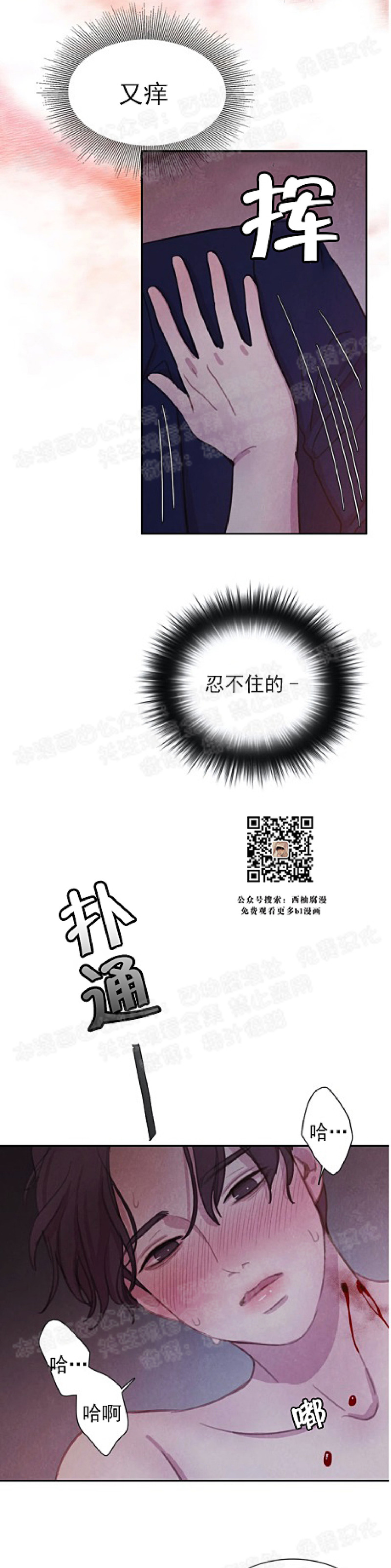 《与蝙蝠共餐/与吸血鬼共餐/与血族共生》漫画最新章节第06话免费下拉式在线观看章节第【36】张图片