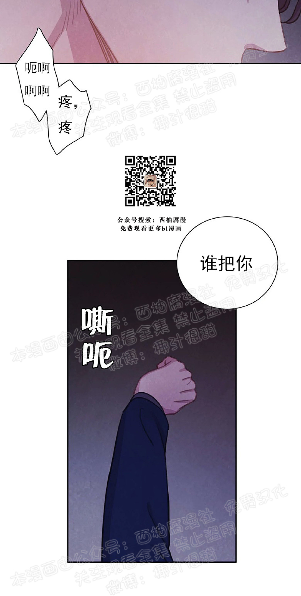 《与蝙蝠共餐/与吸血鬼共餐/与血族共生》漫画最新章节第06话免费下拉式在线观看章节第【16】张图片