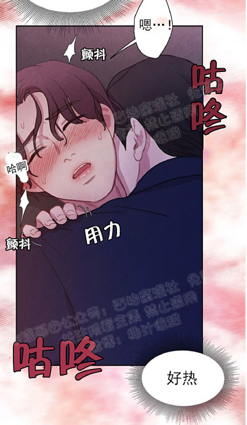 《与蝙蝠共餐/与吸血鬼共餐/与血族共生》漫画最新章节第06话免费下拉式在线观看章节第【35】张图片