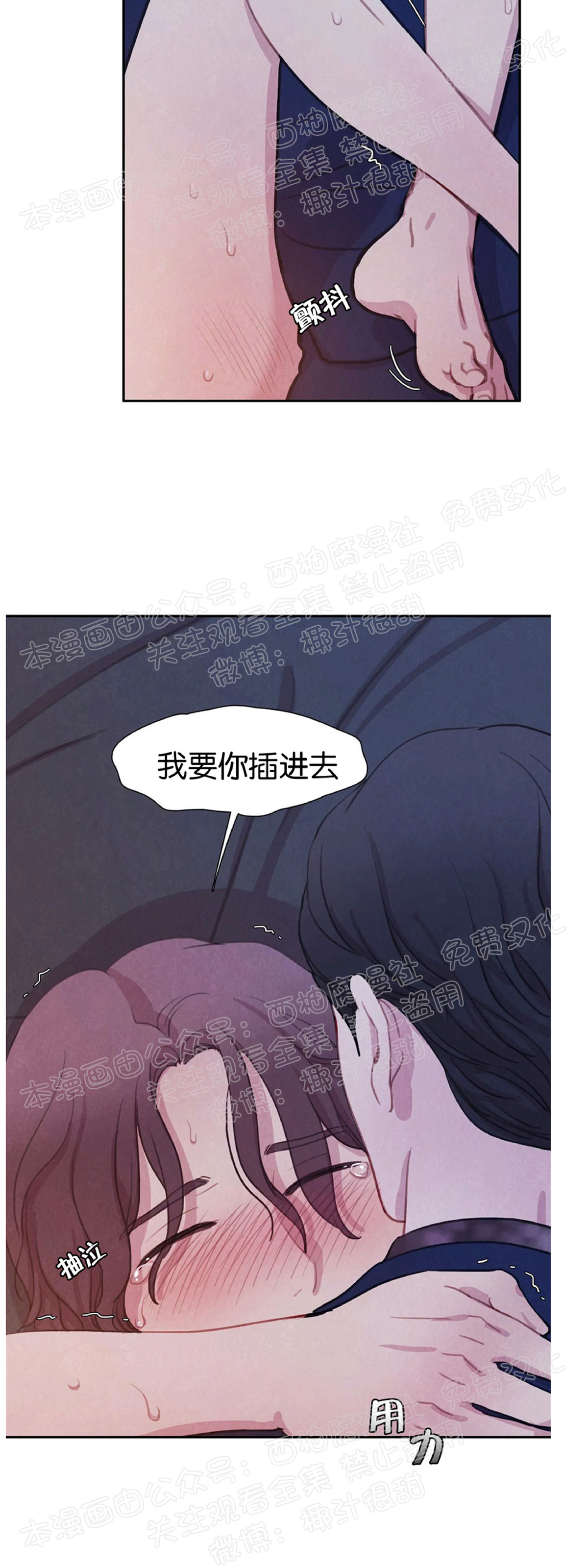 【与蝙蝠共餐/与吸血鬼共餐/与血族共生[耽美]】漫画-（第07话）章节漫画下拉式图片-第41张图片