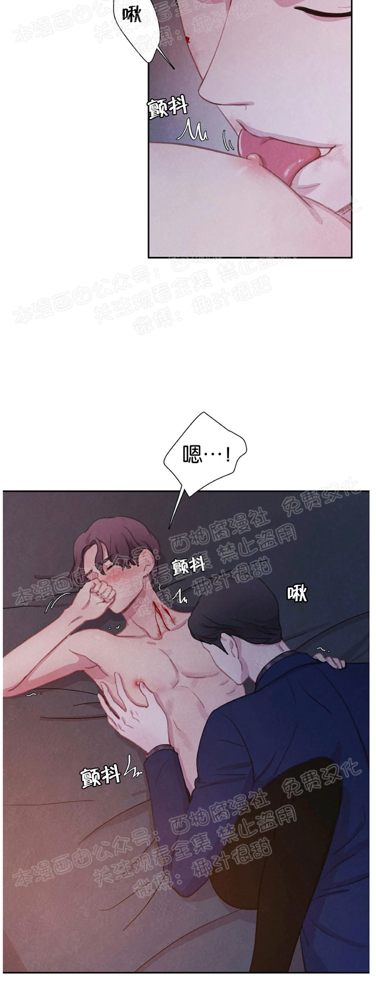 【与蝙蝠共餐/与吸血鬼共餐/与血族共生[耽美]】漫画-（第07话）章节漫画下拉式图片-第2张图片