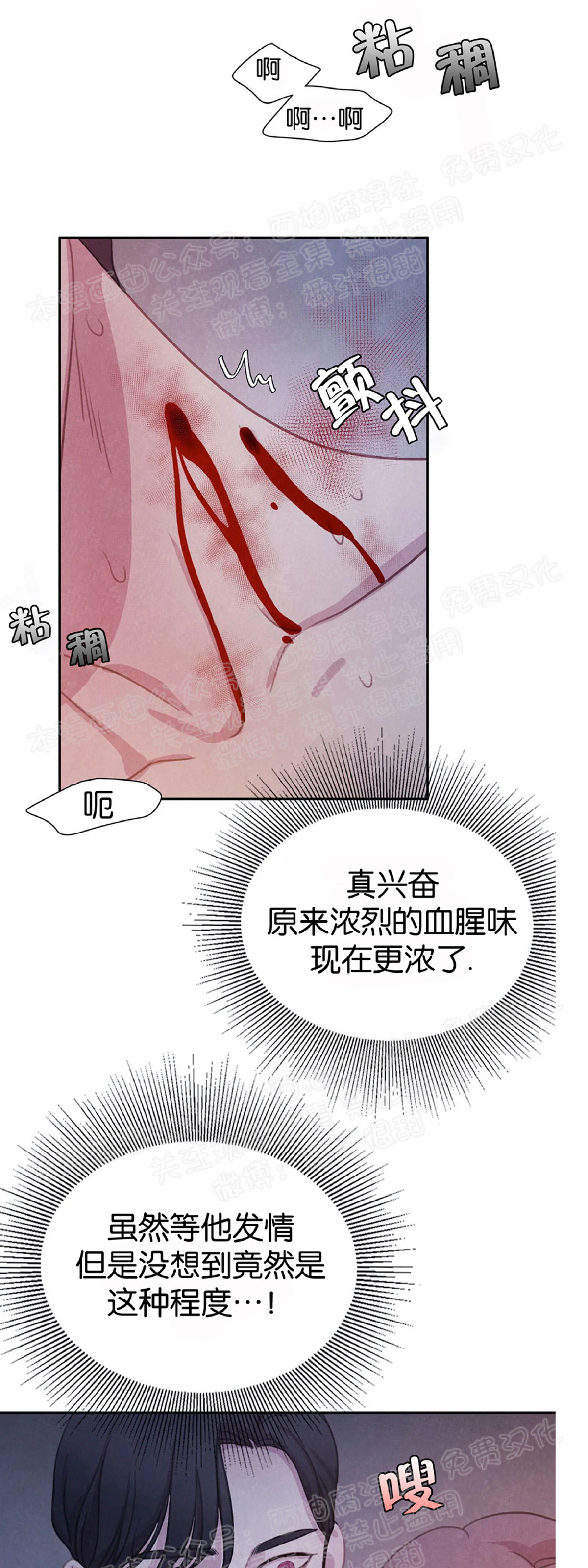 《与蝙蝠共餐/与吸血鬼共餐/与血族共生》漫画最新章节第07话免费下拉式在线观看章节第【26】张图片