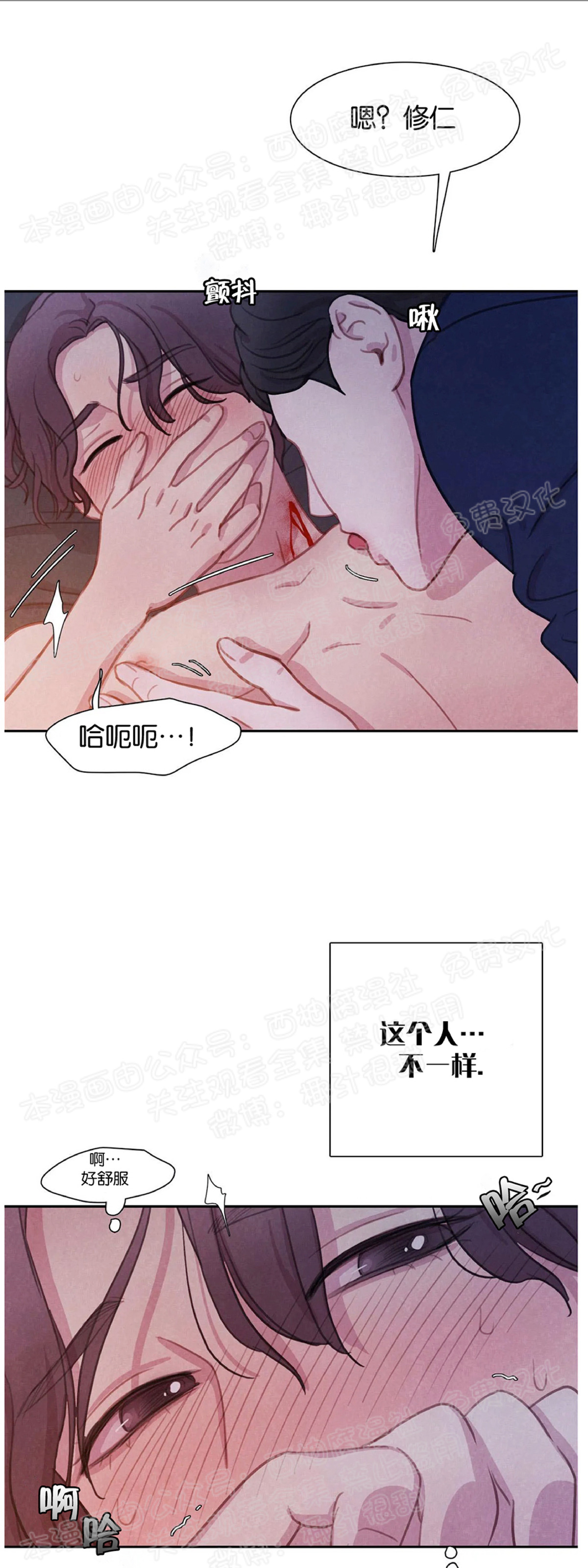 【与蝙蝠共餐/与吸血鬼共餐/与血族共生[耽美]】漫画-（第07话）章节漫画下拉式图片-第11张图片