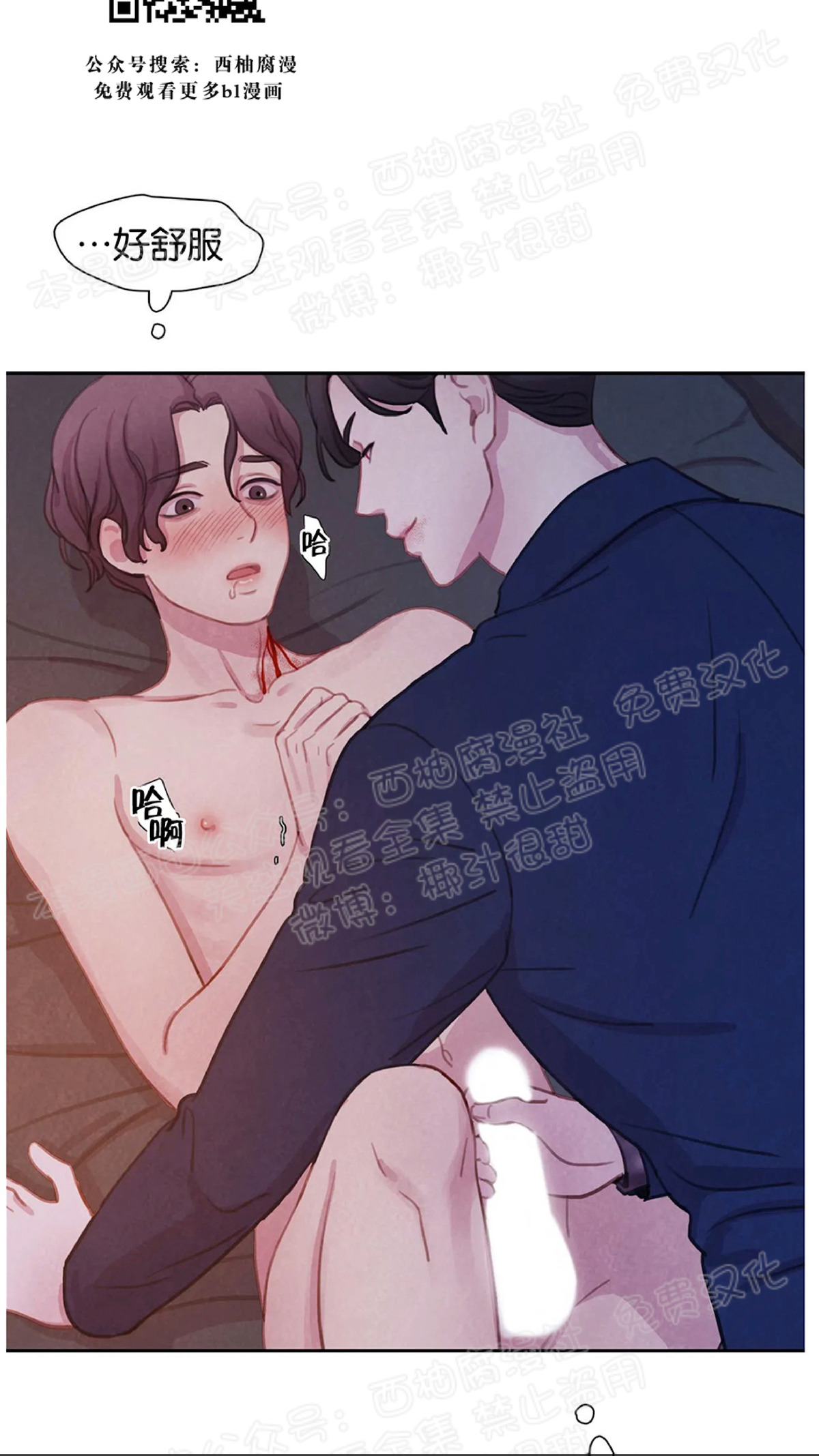 《与蝙蝠共餐/与吸血鬼共餐/与血族共生》漫画最新章节第07话免费下拉式在线观看章节第【19】张图片