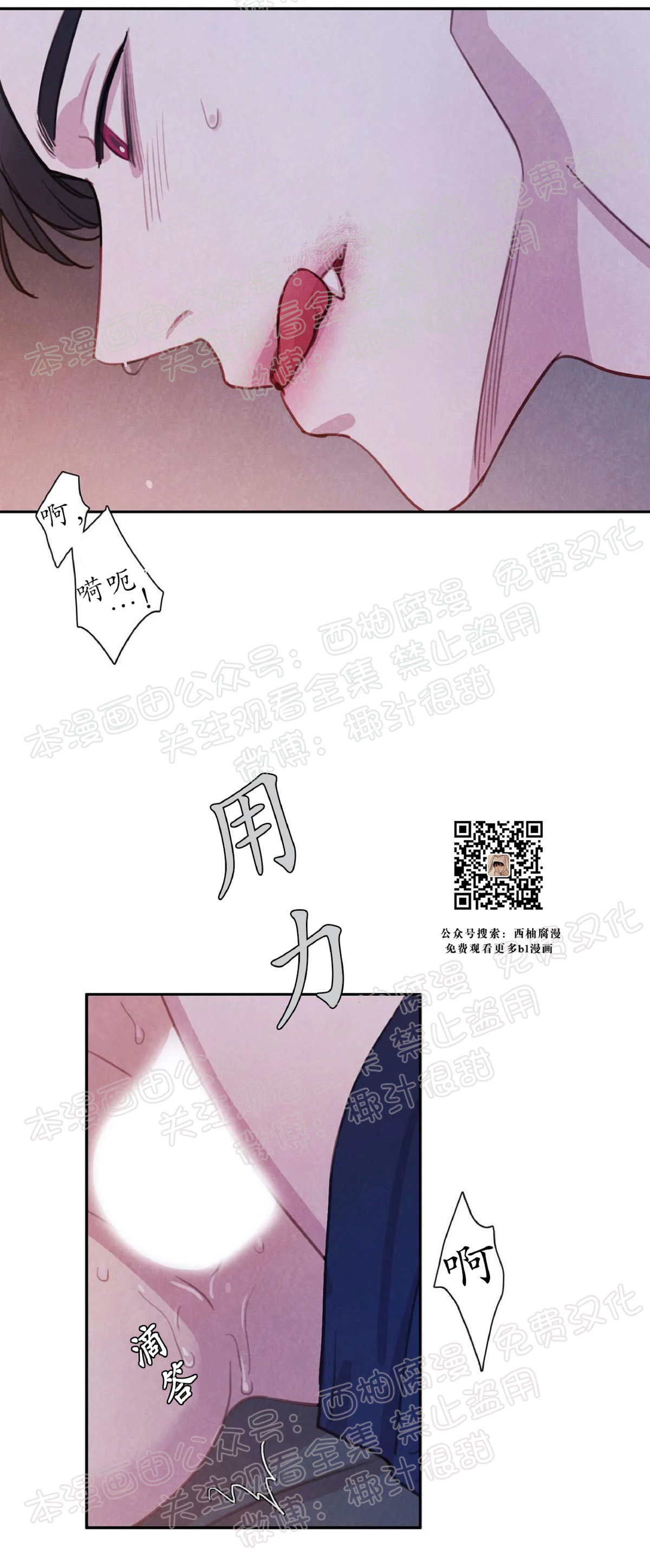 【与蝙蝠共餐/与吸血鬼共餐/与血族共生[耽美]】漫画-（第08话）章节漫画下拉式图片-第5张图片