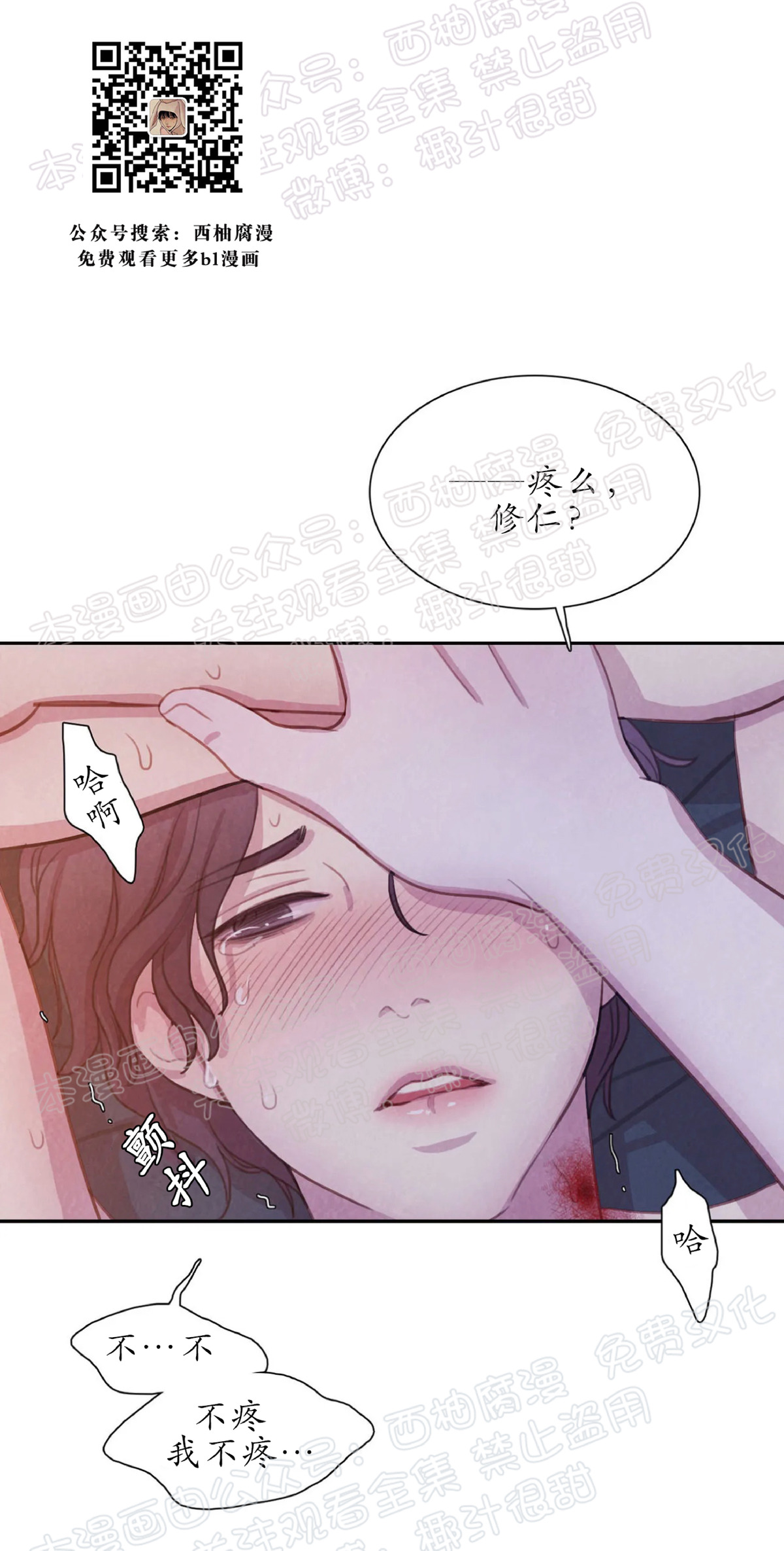 【与蝙蝠共餐/与吸血鬼共餐/与血族共生[耽美]】漫画-（第08话）章节漫画下拉式图片-第8张图片