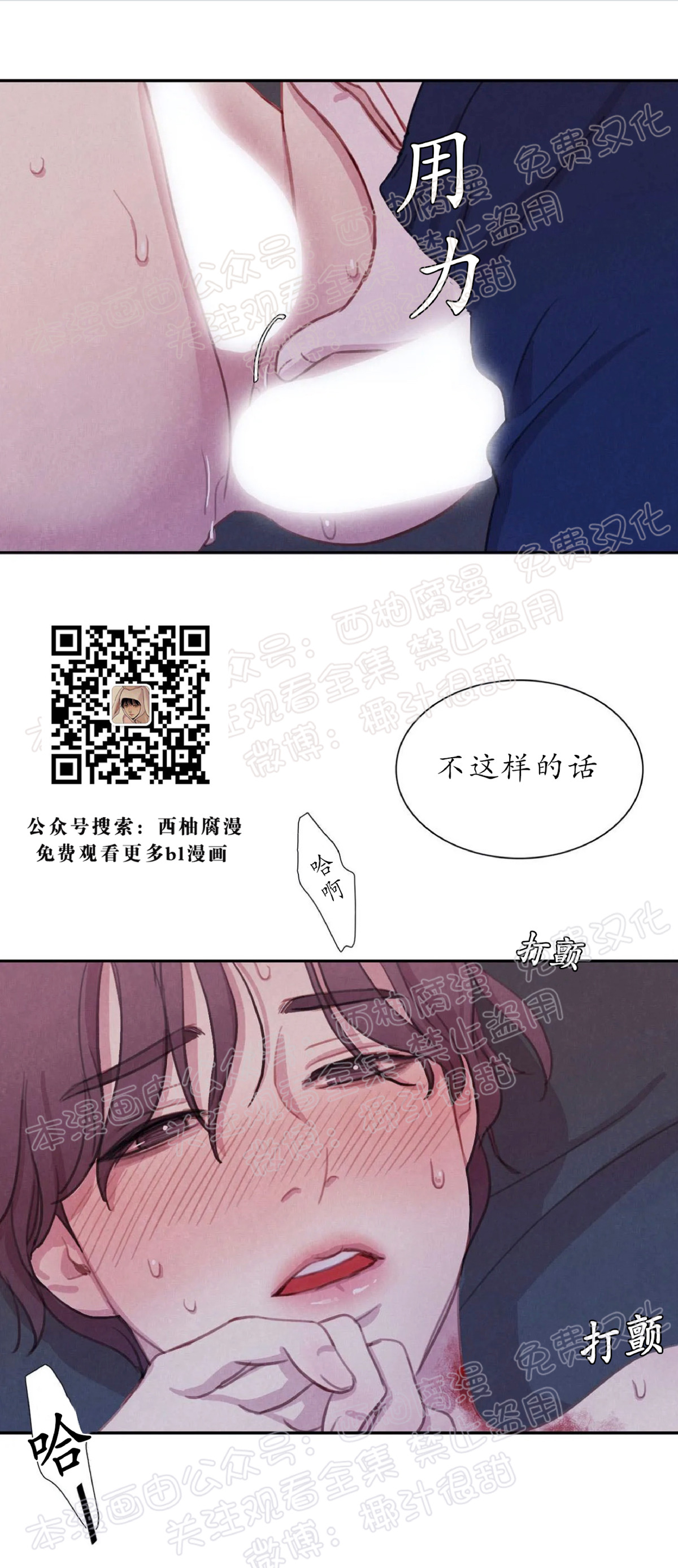 【与蝙蝠共餐/与吸血鬼共餐/与血族共生[耽美]】漫画-（第08话）章节漫画下拉式图片-第1张图片