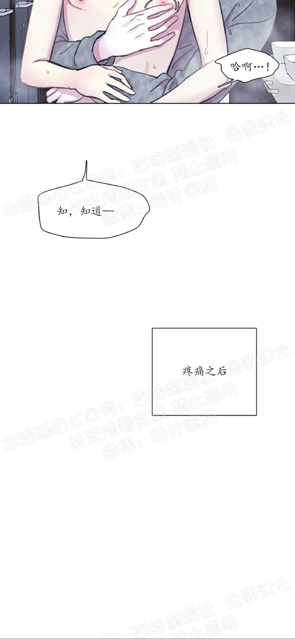 【与蝙蝠共餐/与吸血鬼共餐/与血族共生[耽美]】漫画-（第11话）章节漫画下拉式图片-第6张图片