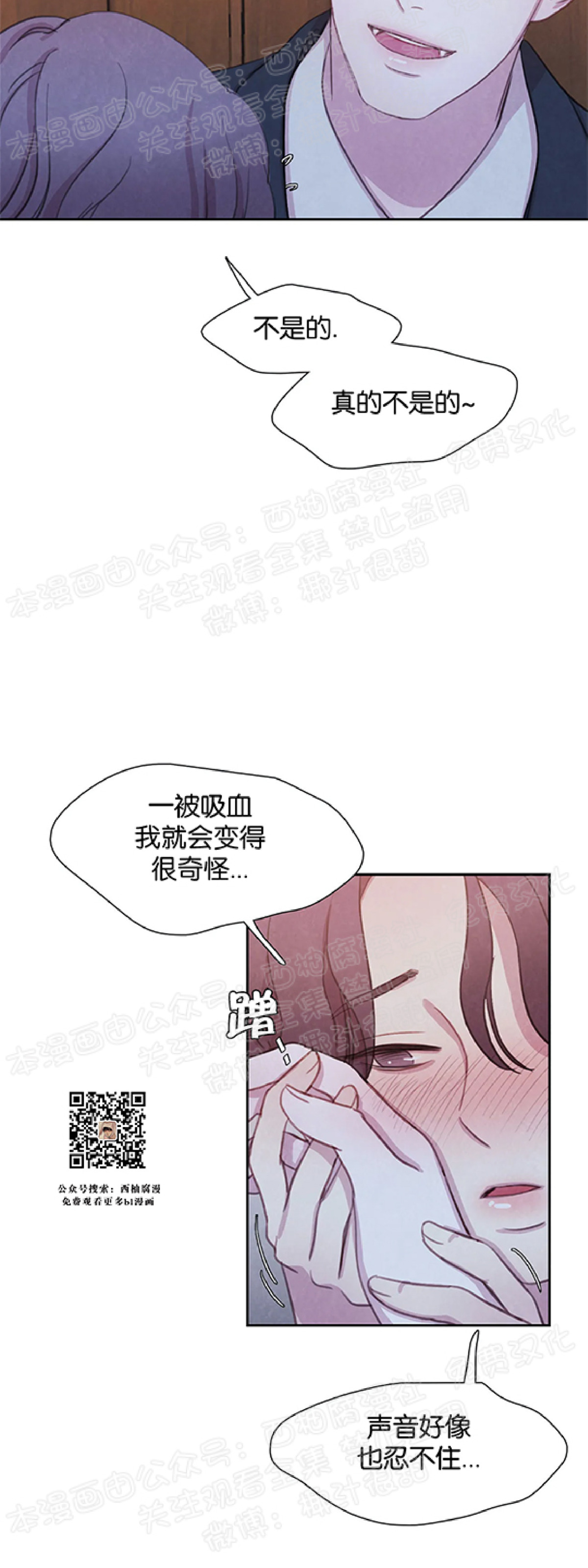 【与蝙蝠共餐/与吸血鬼共餐/与血族共生[耽美]】漫画-（第12话）章节漫画下拉式图片-第13张图片