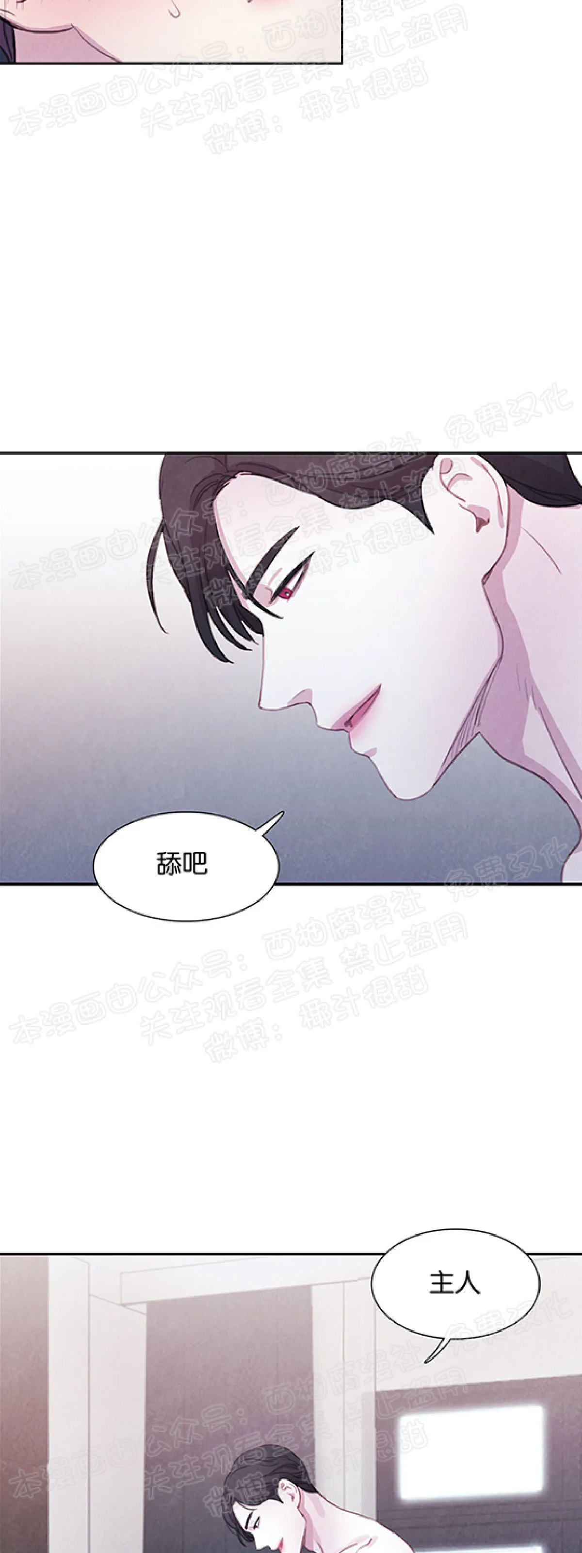 【与蝙蝠共餐/与吸血鬼共餐/与血族共生[耽美]】漫画-（第12话）章节漫画下拉式图片-第48张图片