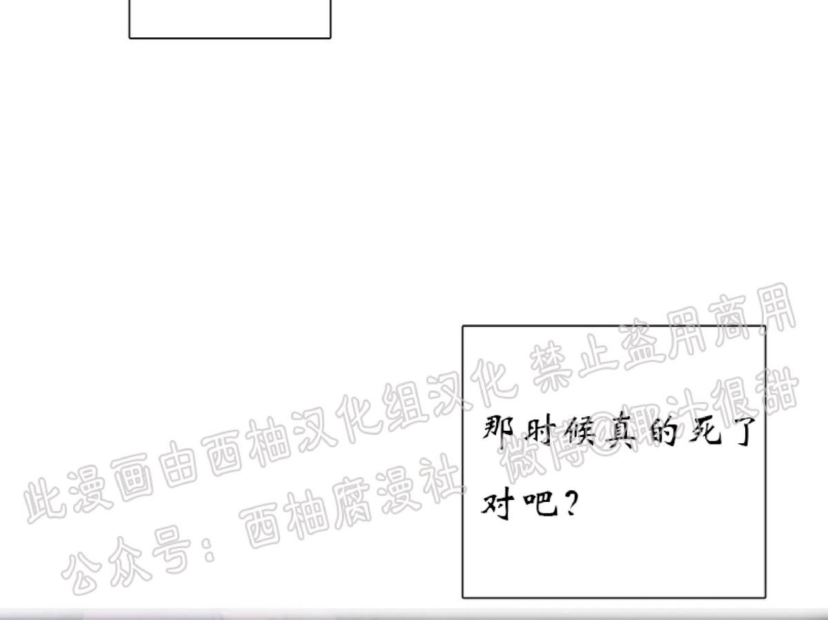 【与蝙蝠共餐/与吸血鬼共餐/与血族共生[耽美]】漫画-（第16话）章节漫画下拉式图片-第6张图片