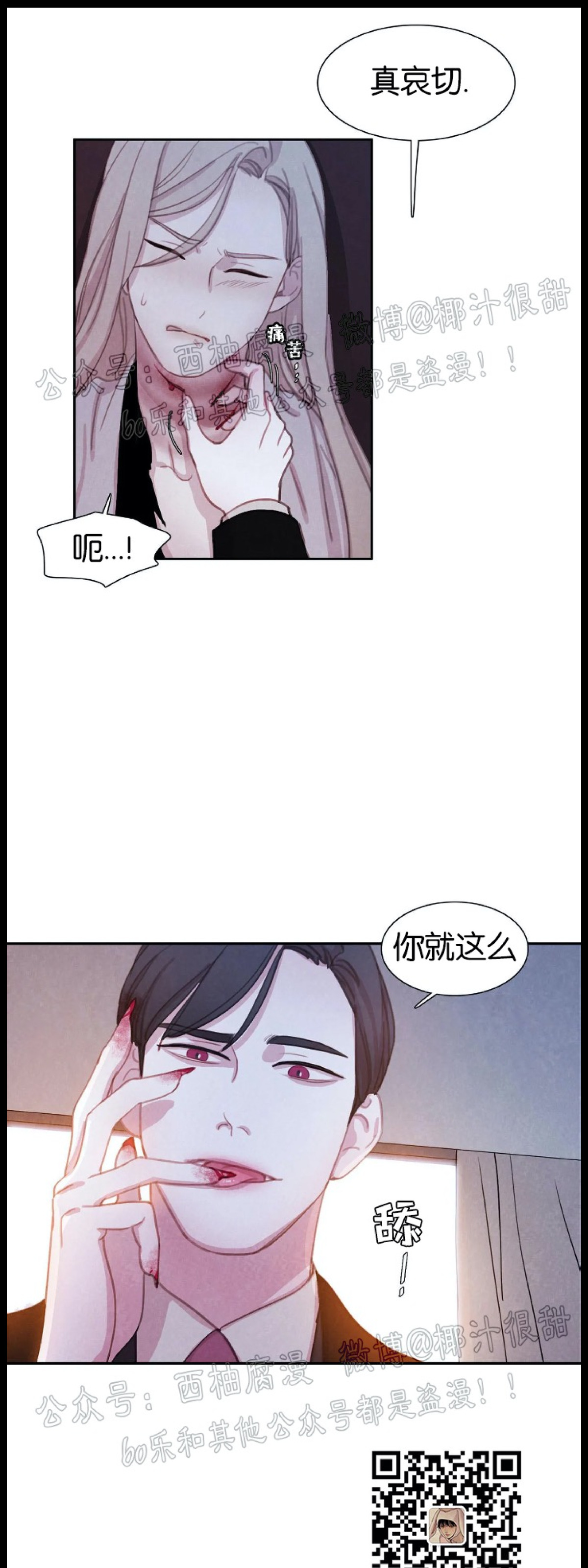 【与蝙蝠共餐/与吸血鬼共餐/与血族共生[耽美]】漫画-（第20话）章节漫画下拉式图片-16.jpg