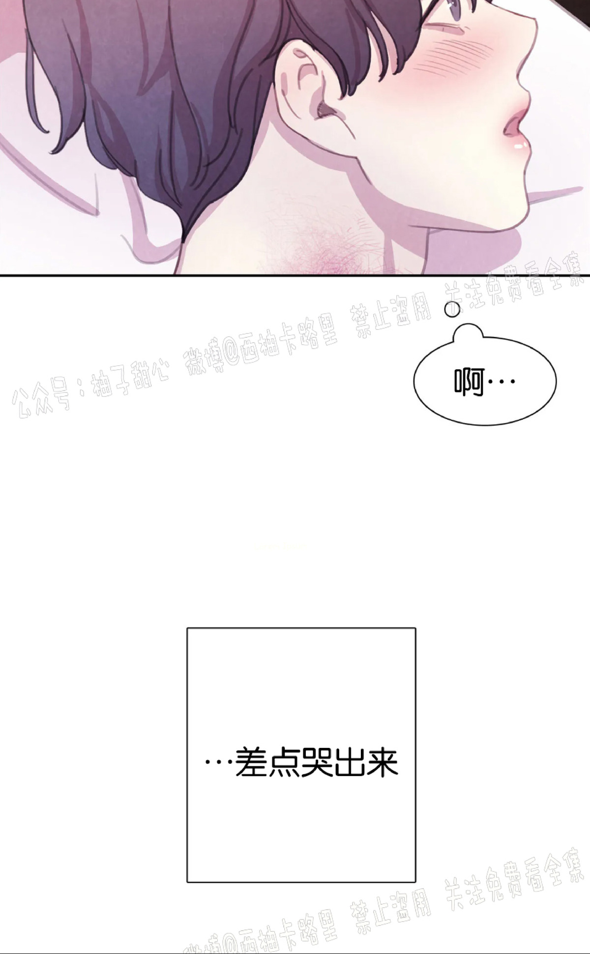 《与蝙蝠共餐/与吸血鬼共餐/与血族共生》漫画最新章节第29话免费下拉式在线观看章节第【13】张图片