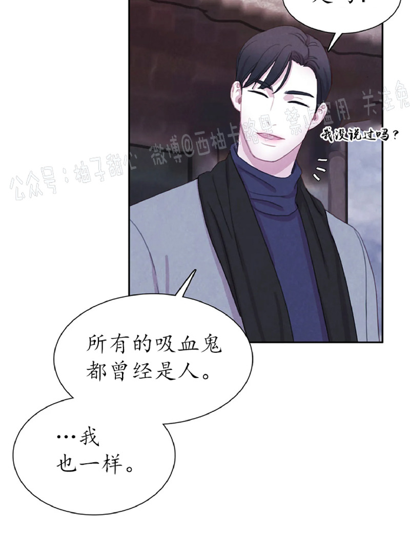 《与蝙蝠共餐/与吸血鬼共餐/与血族共生》漫画最新章节第30话免费下拉式在线观看章节第【11】张图片