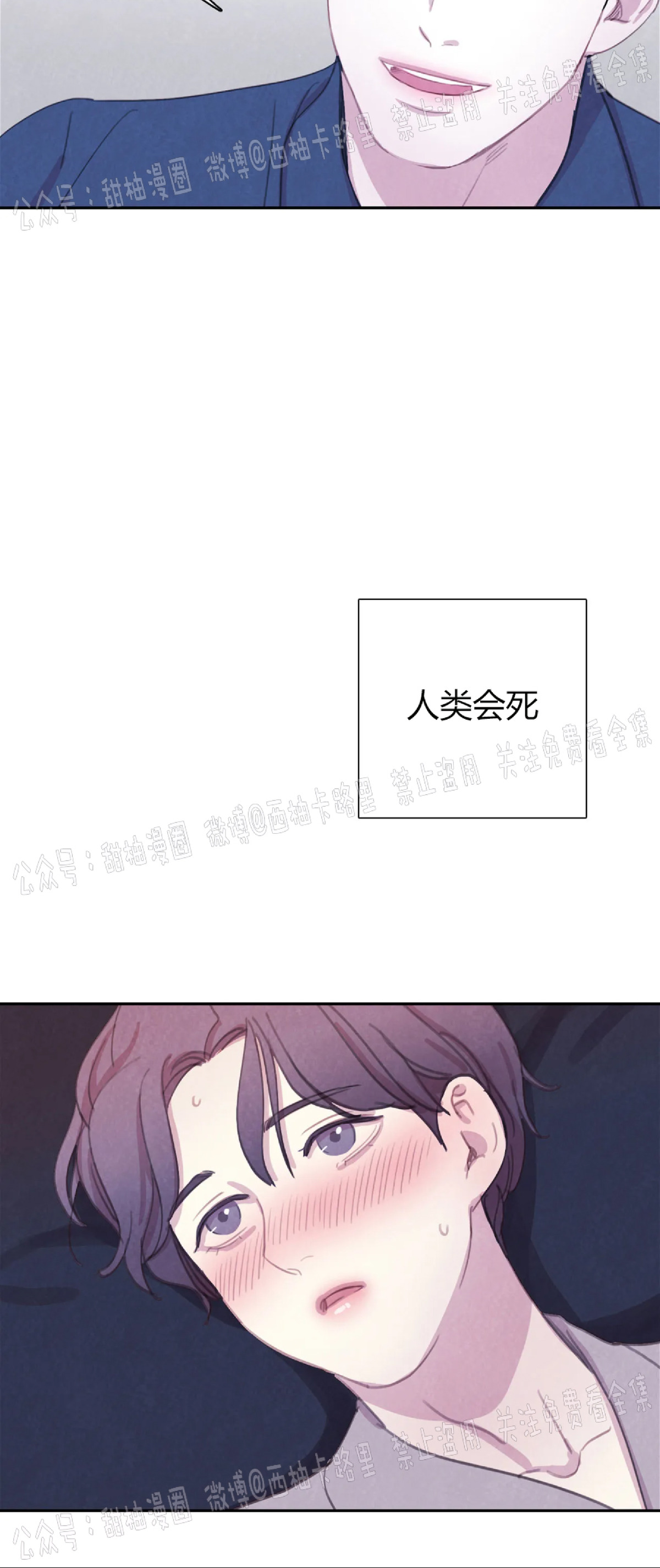 《与蝙蝠共餐/与吸血鬼共餐/与血族共生》漫画最新章节第31话免费下拉式在线观看章节第【41】张图片