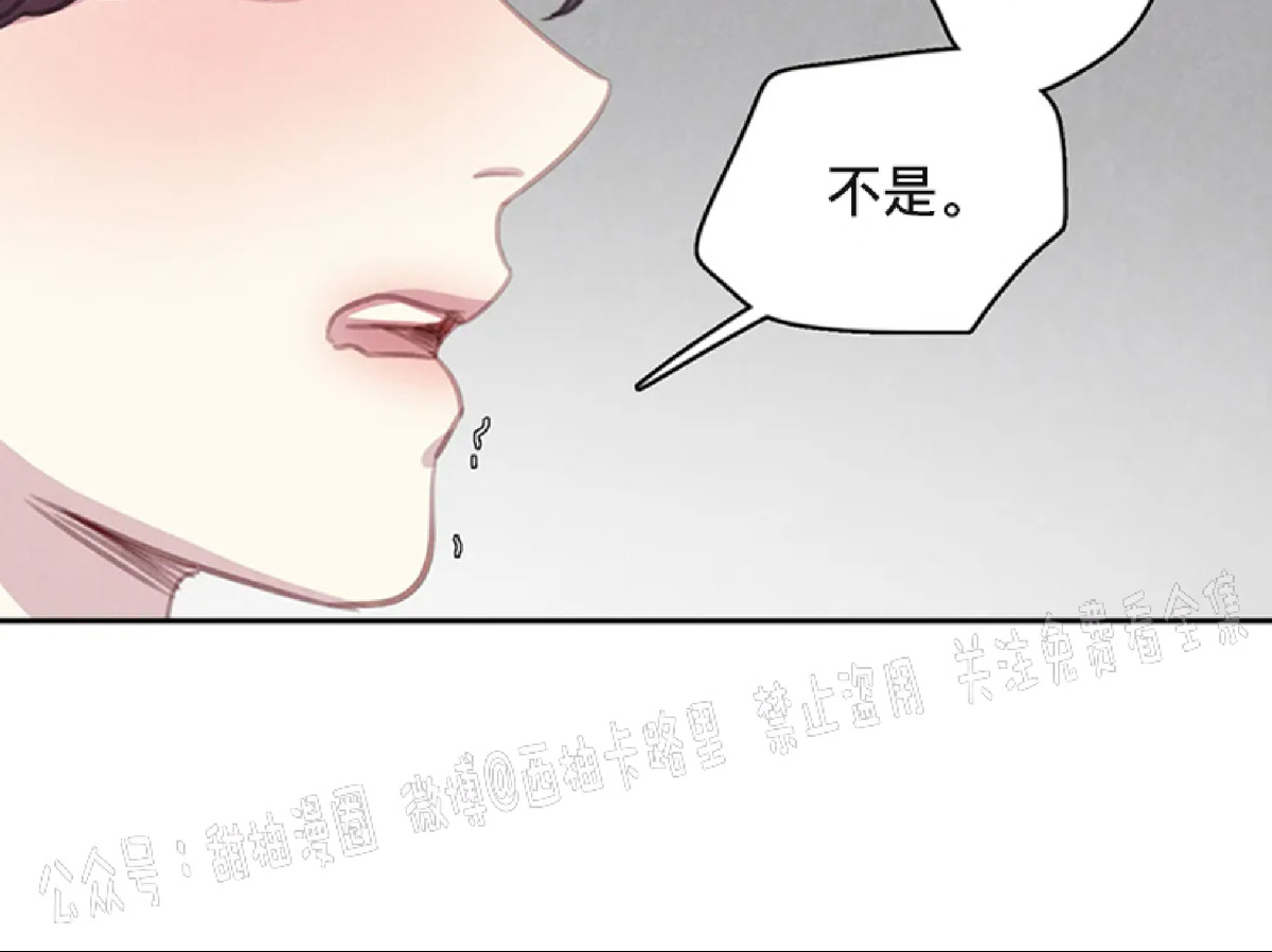 《与蝙蝠共餐/与吸血鬼共餐/与血族共生》漫画最新章节第34话免费下拉式在线观看章节第【51】张图片