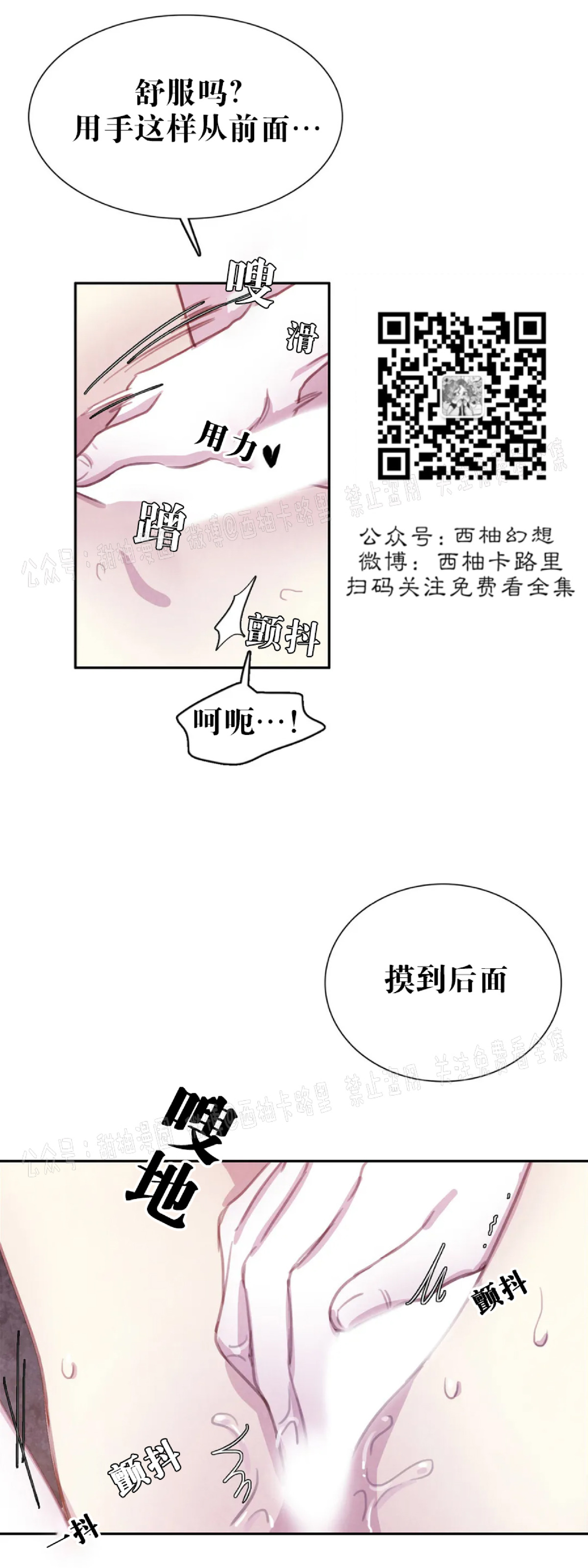 【与蝙蝠共餐/与吸血鬼共餐/与血族共生[耽美]】漫画-（第35话）章节漫画下拉式图片-第36张图片