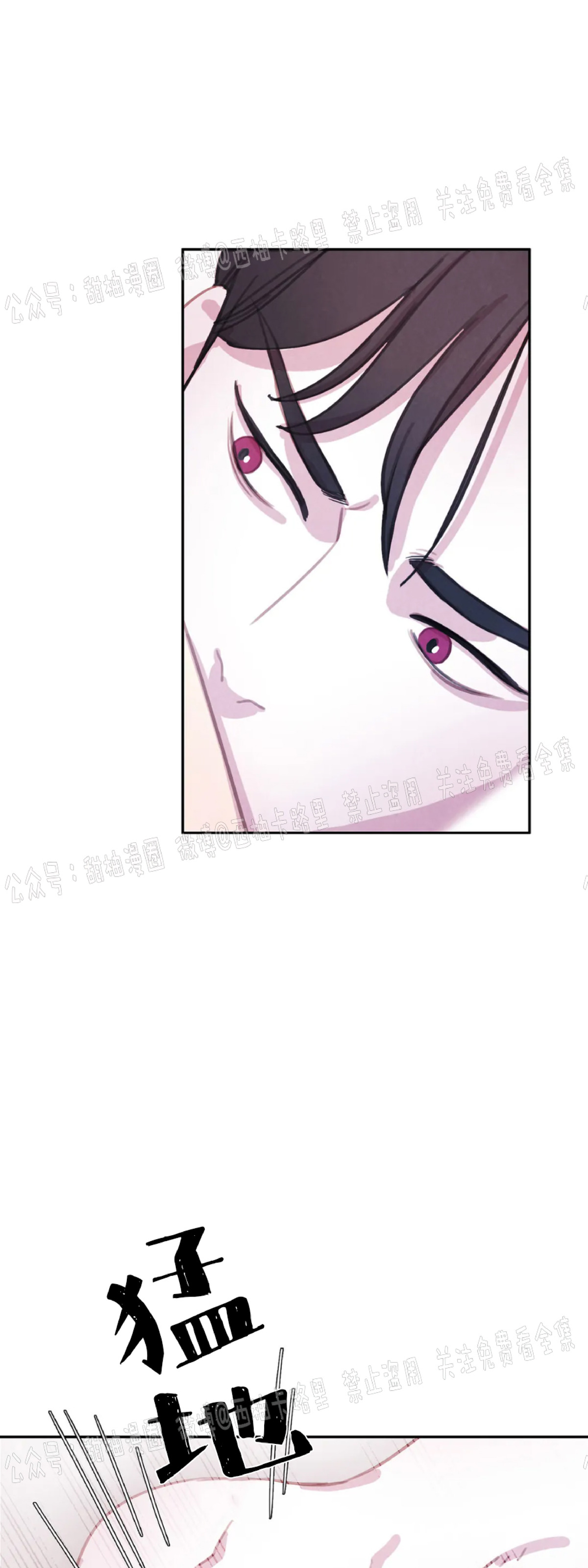 《与蝙蝠共餐/与吸血鬼共餐/与血族共生》漫画最新章节第36话免费下拉式在线观看章节第【9】张图片