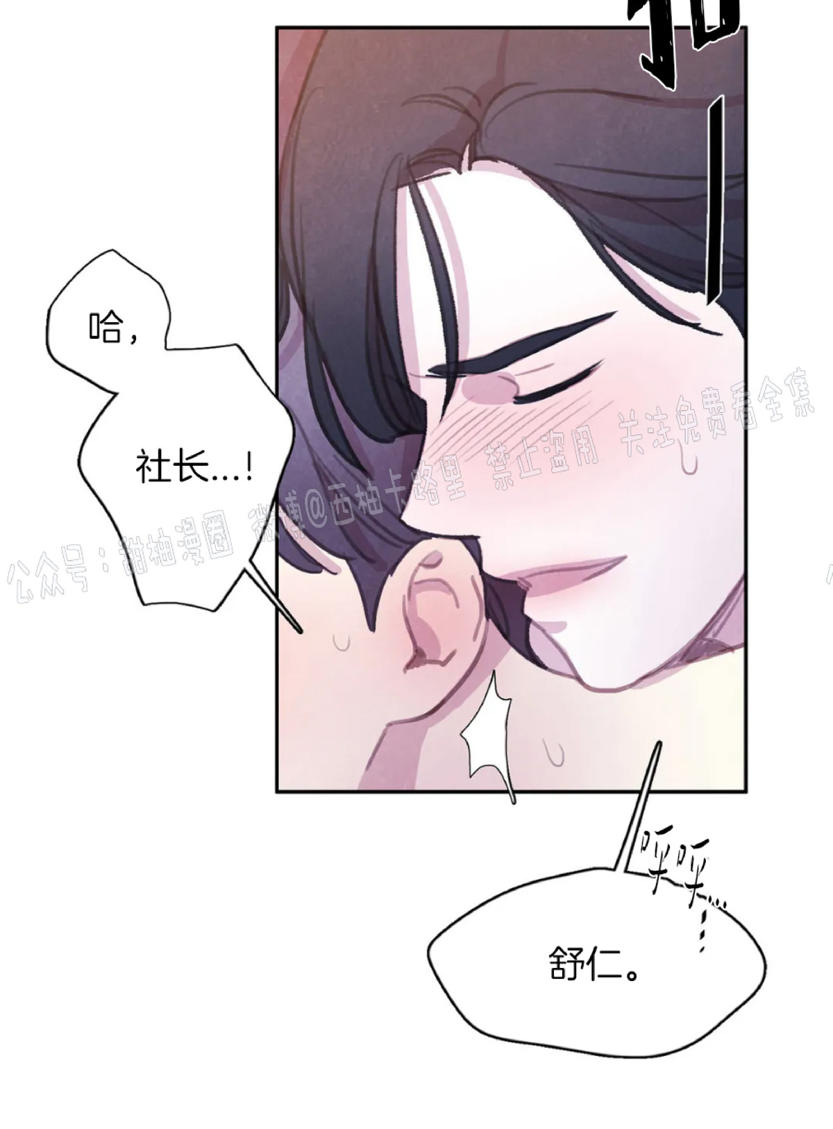 【与蝙蝠共餐/与吸血鬼共餐/与血族共生[耽美]】漫画-（第36话）章节漫画下拉式图片-第40张图片