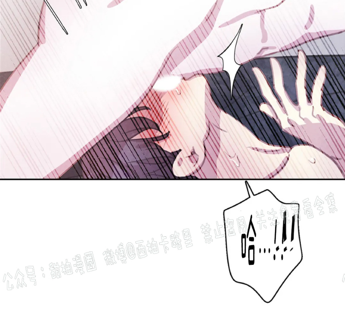 《与蝙蝠共餐/与吸血鬼共餐/与血族共生》漫画最新章节第36话免费下拉式在线观看章节第【10】张图片