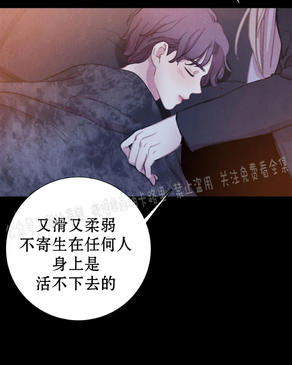 《与蝙蝠共餐/与吸血鬼共餐/与血族共生》漫画最新章节第37话免费下拉式在线观看章节第【9】张图片