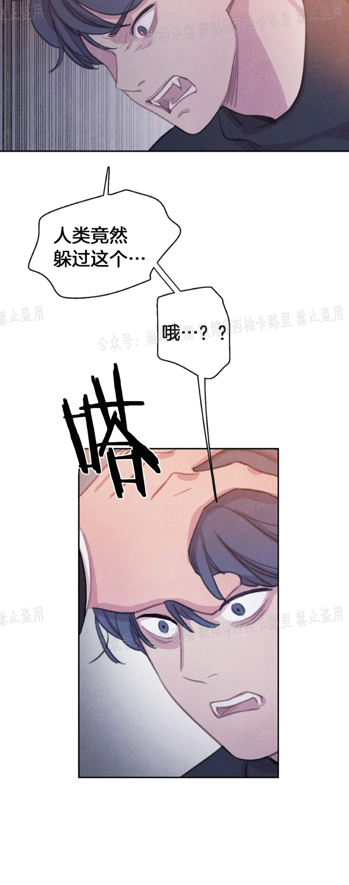 【与蝙蝠共餐/与吸血鬼共餐/与血族共生[耽美]】漫画-（第40话）章节漫画下拉式图片-第29张图片