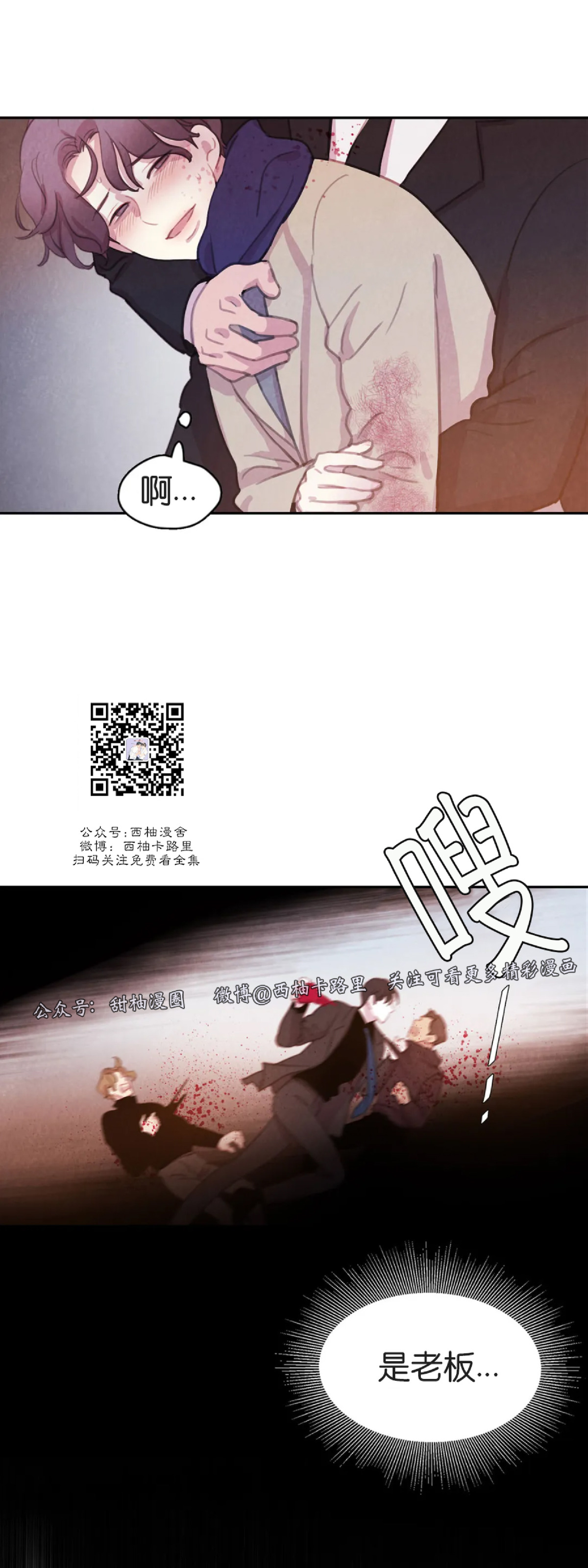 【与蝙蝠共餐/与吸血鬼共餐/与血族共生[耽美]】漫画-（第41话）章节漫画下拉式图片-第6张图片