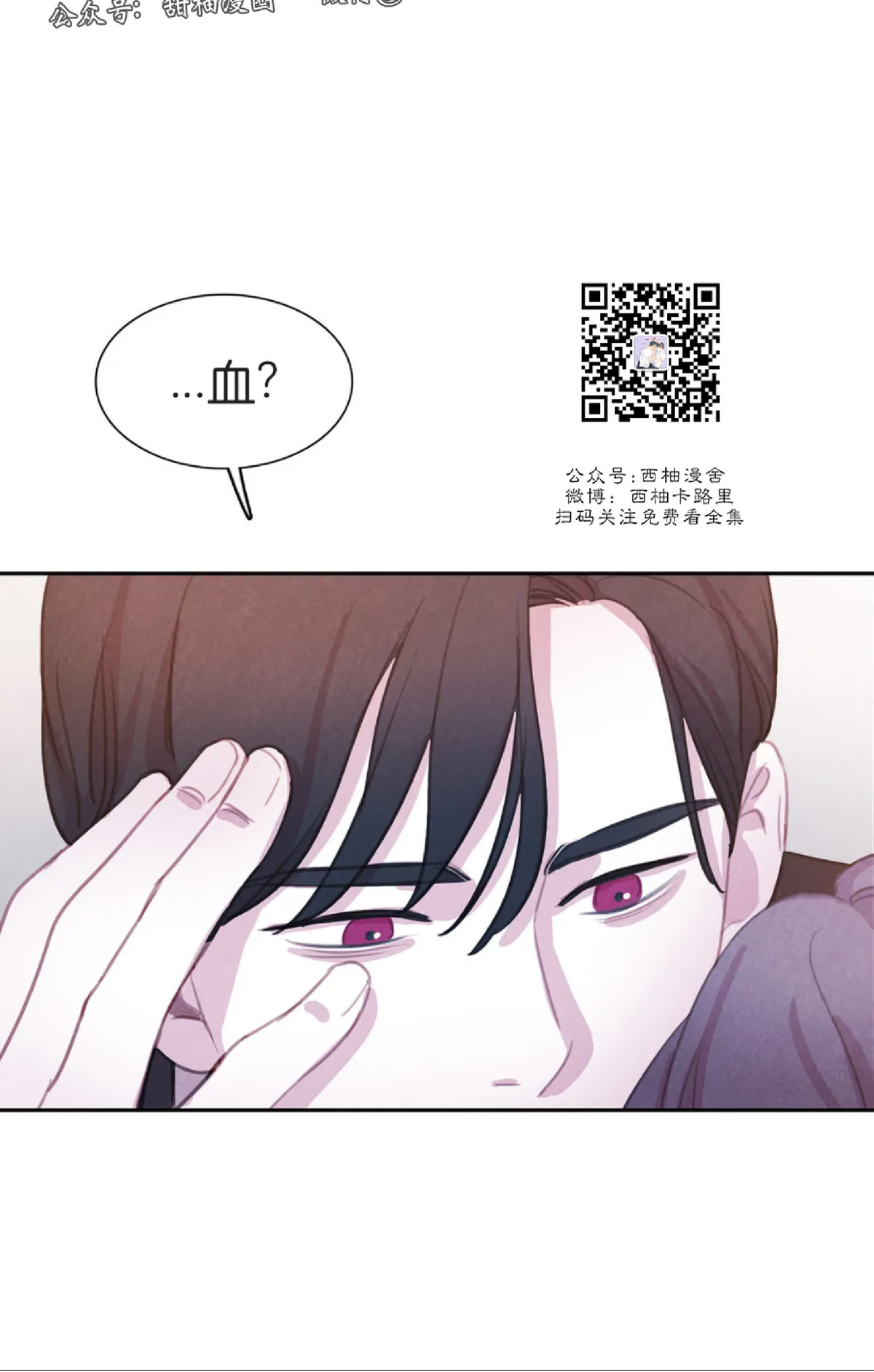 【与蝙蝠共餐/与吸血鬼共餐/与血族共生[耽美]】漫画-（第41话）章节漫画下拉式图片-第36张图片