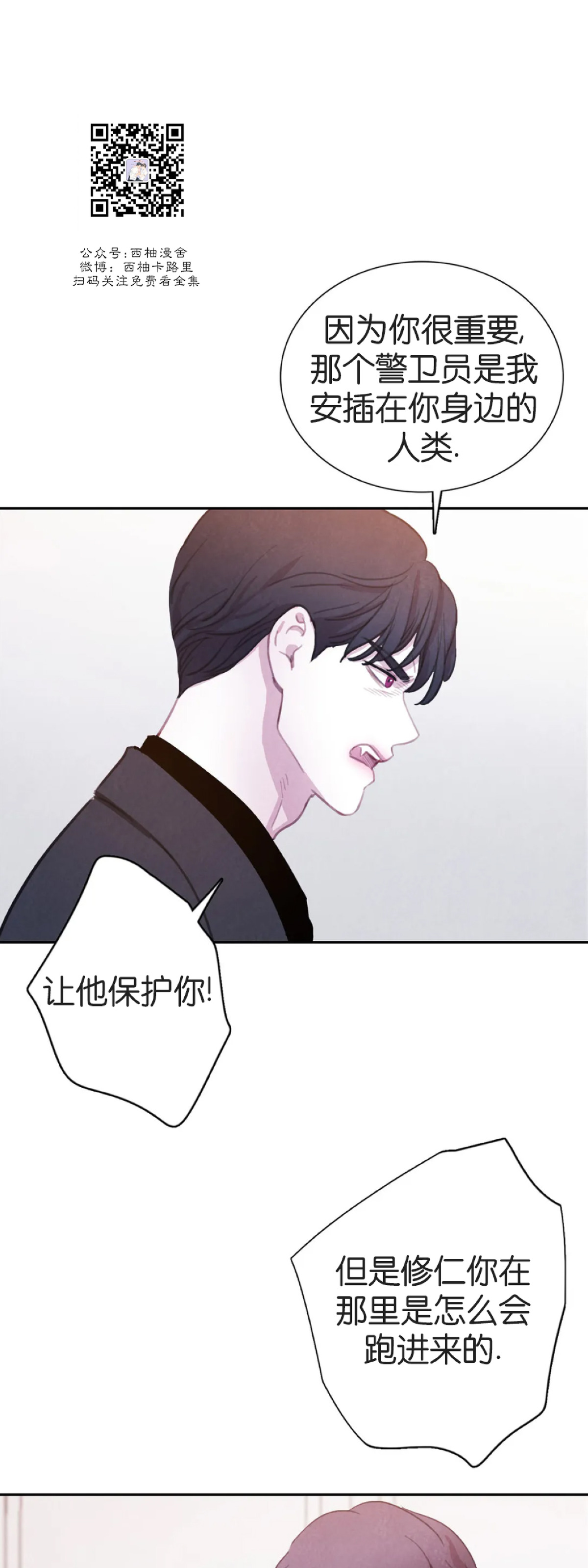 《与蝙蝠共餐/与吸血鬼共餐/与血族共生》漫画最新章节第41话免费下拉式在线观看章节第【28】张图片