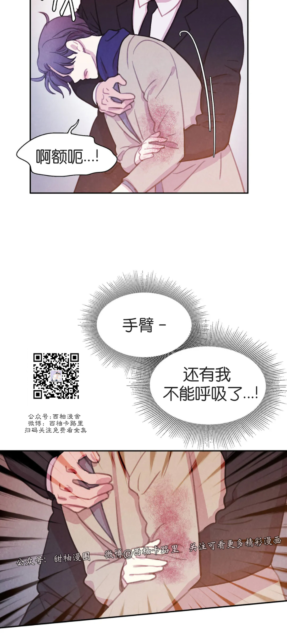 《与蝙蝠共餐/与吸血鬼共餐/与血族共生》漫画最新章节第41话免费下拉式在线观看章节第【3】张图片