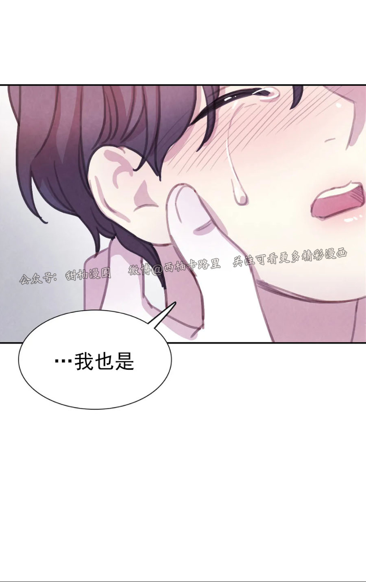 【与蝙蝠共餐/与吸血鬼共餐/与血族共生[耽美]】漫画-（第42话）章节漫画下拉式图片-2.jpg