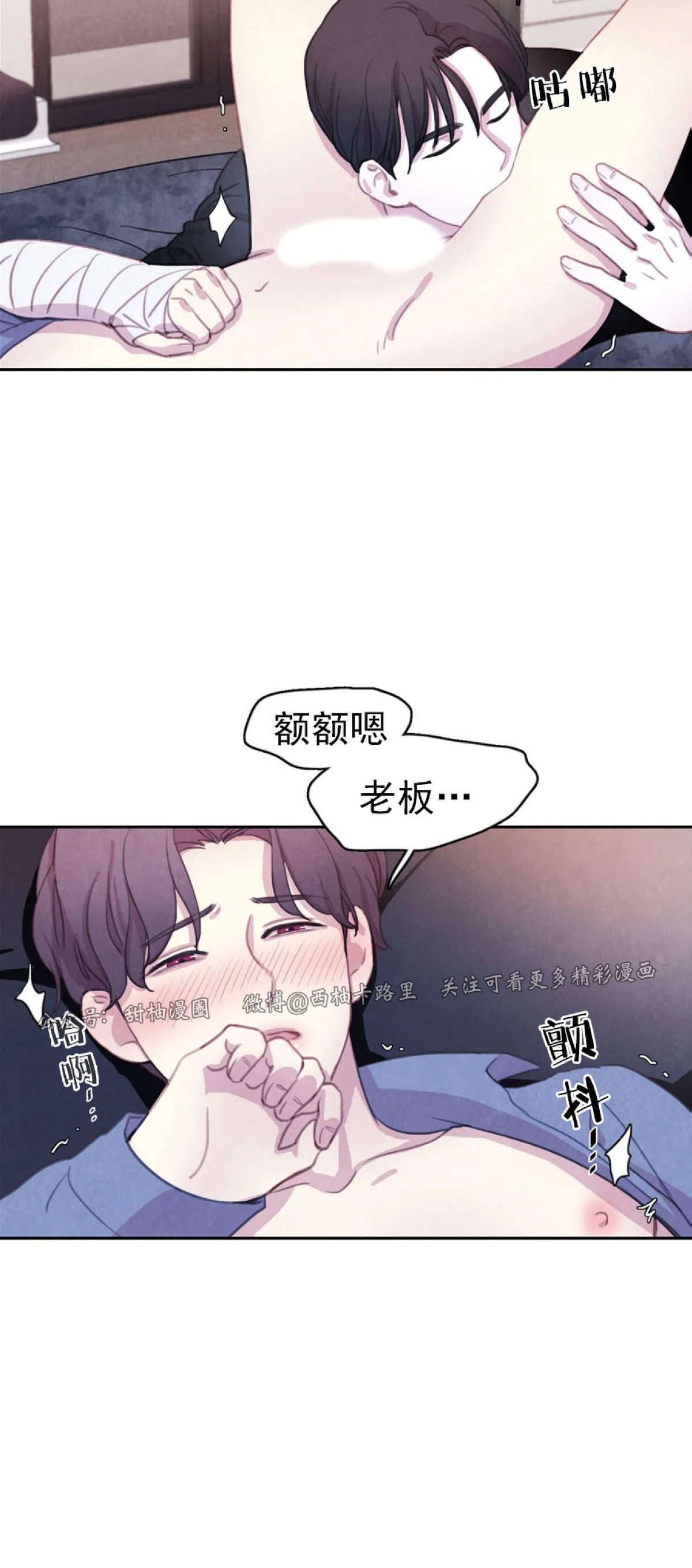 【与蝙蝠共餐/与吸血鬼共餐/与血族共生[耽美]】漫画-（第42话）章节漫画下拉式图片-第15张图片