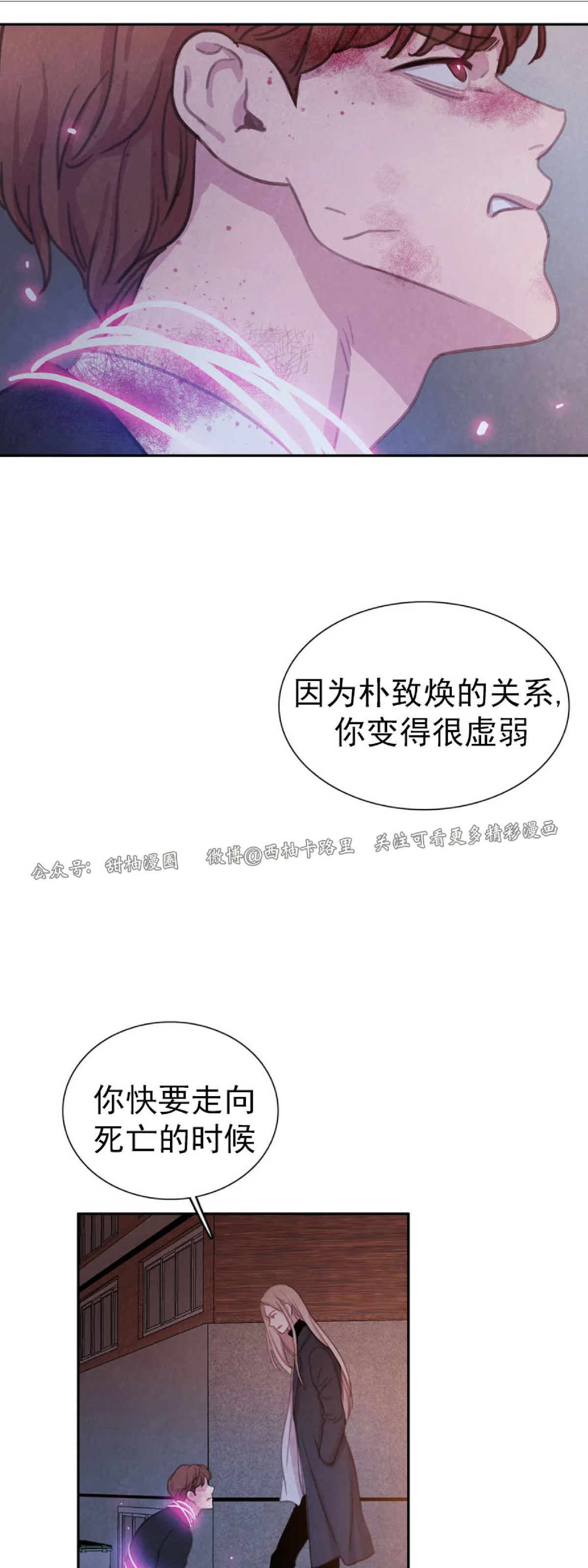 【与蝙蝠共餐/与吸血鬼共餐/与血族共生[耽美]】漫画-（第42话）章节漫画下拉式图片-第37张图片