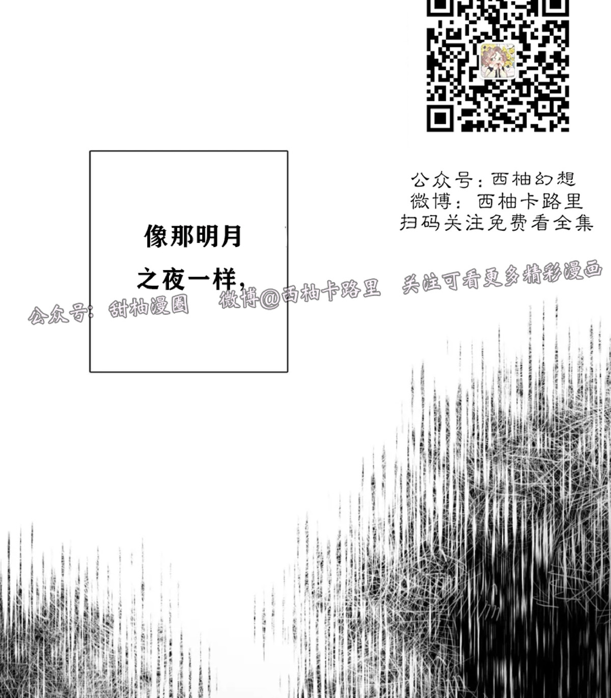 【与蝙蝠共餐/与吸血鬼共餐/与血族共生[耽美]】漫画-（第44话）章节漫画下拉式图片-第15张图片