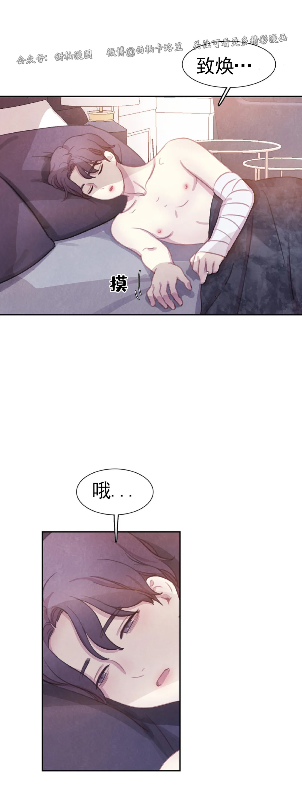 《与蝙蝠共餐/与吸血鬼共餐/与血族共生》漫画最新章节第47话免费下拉式在线观看章节第【53】张图片