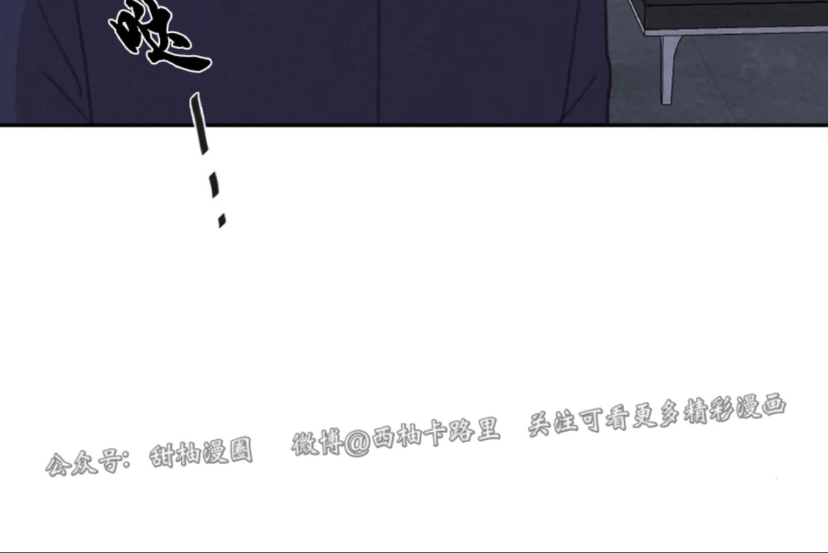 【与蝙蝠共餐/与吸血鬼共餐/与血族共生[耽美]】漫画-（第48话）章节漫画下拉式图片-第6张图片