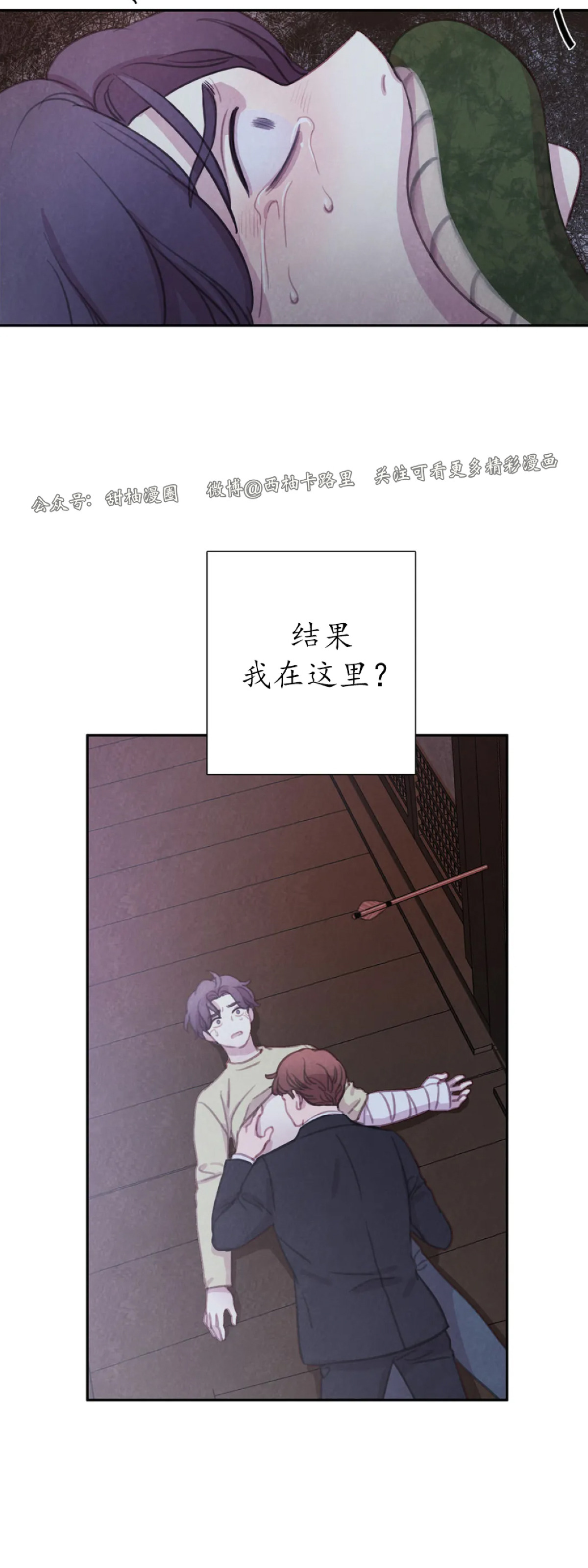 【与蝙蝠共餐/与吸血鬼共餐/与血族共生[耽美]】漫画-（第51话）章节漫画下拉式图片-第11张图片