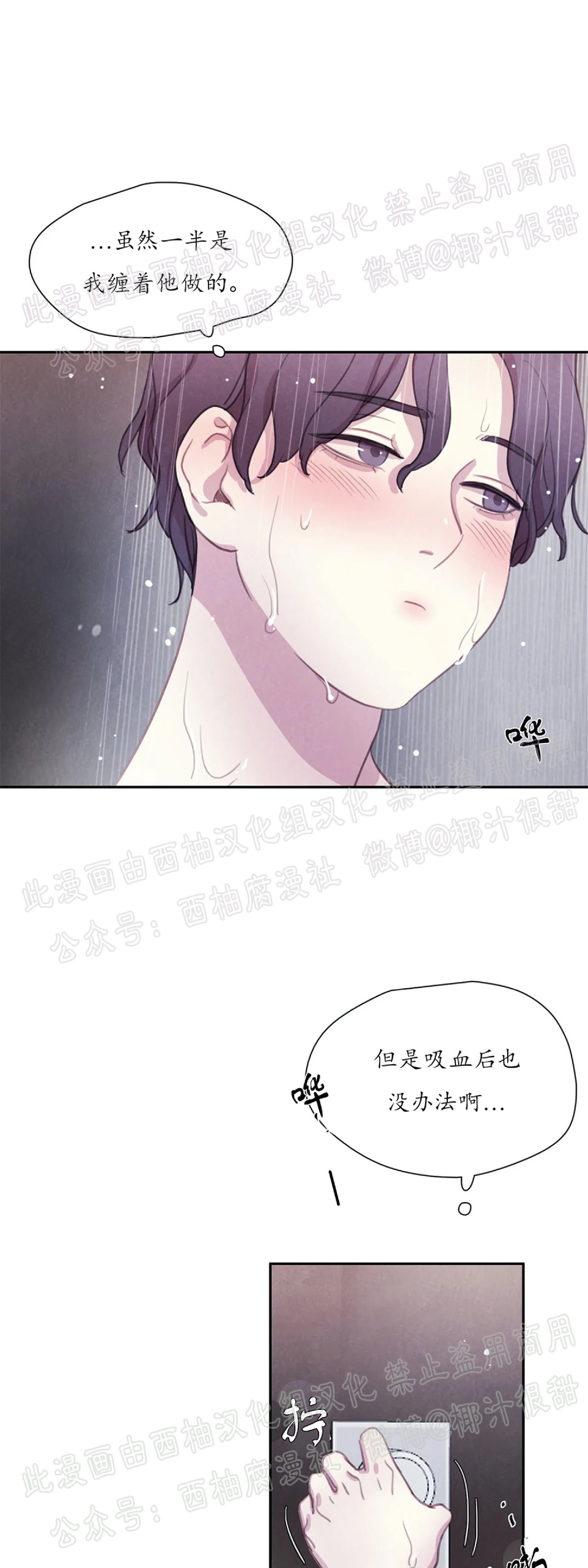 《与蝙蝠共餐/与吸血鬼共餐/与血族共生》漫画最新章节第17话免费下拉式在线观看章节第【19】张图片