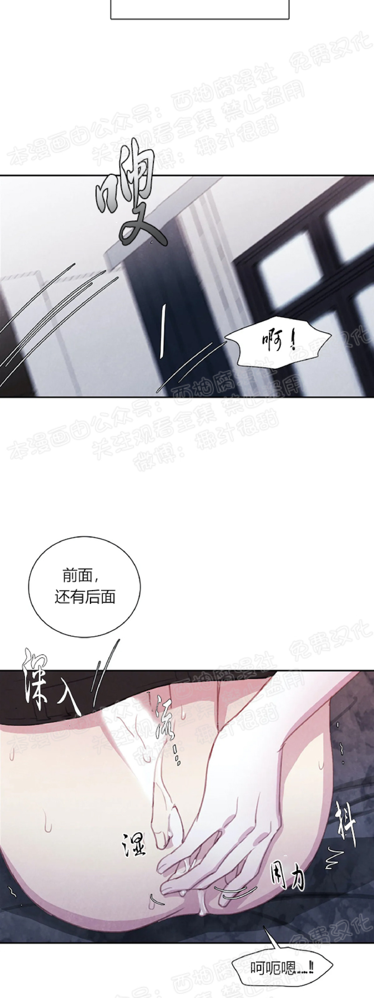 《与蝙蝠共餐/与吸血鬼共餐/与血族共生》漫画最新章节第13话免费下拉式在线观看章节第【30】张图片