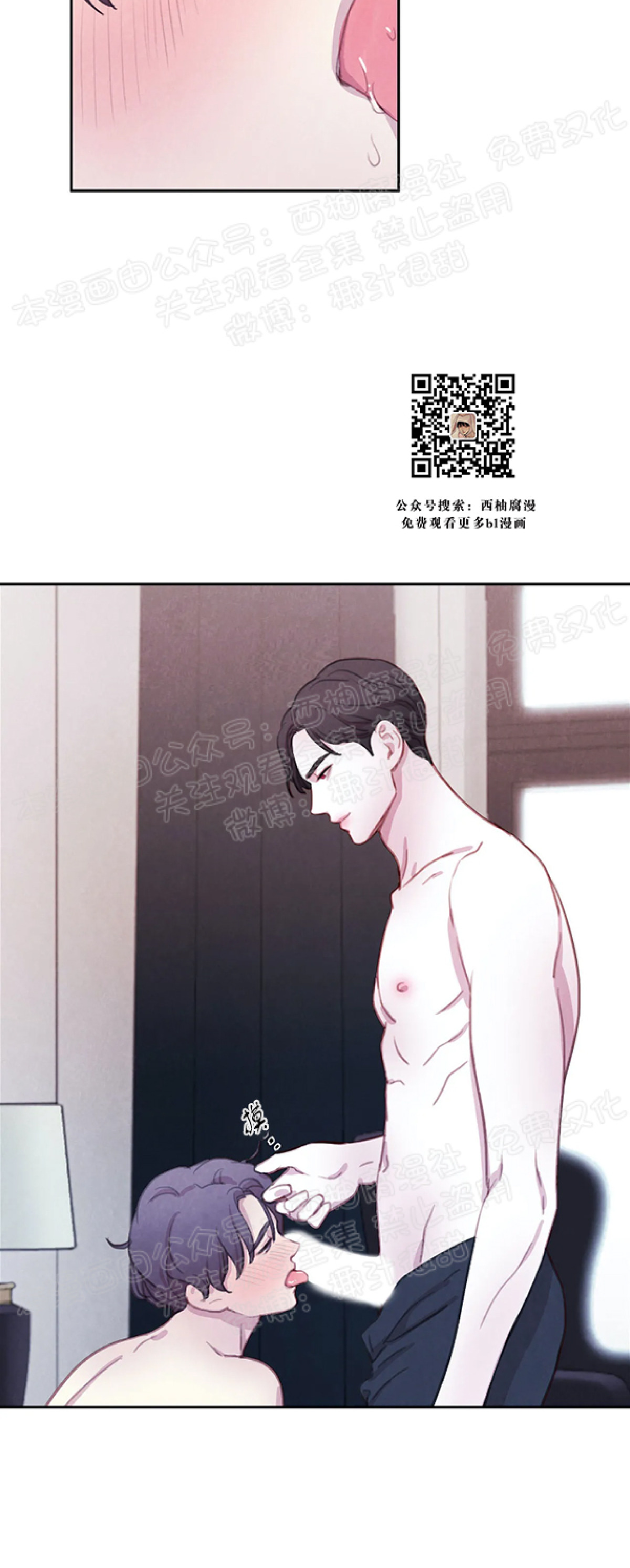 《与蝙蝠共餐/与吸血鬼共餐/与血族共生》漫画最新章节第13话免费下拉式在线观看章节第【5】张图片