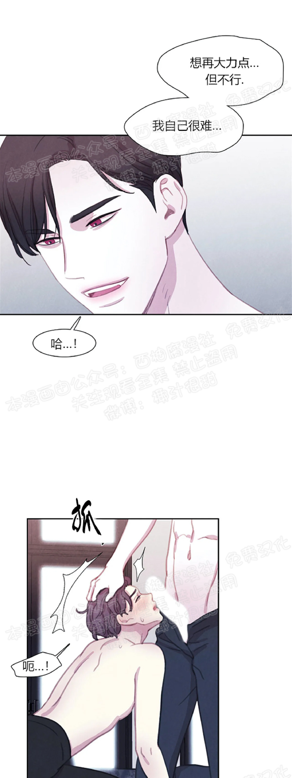 《与蝙蝠共餐/与吸血鬼共餐/与血族共生》漫画最新章节第13话免费下拉式在线观看章节第【15】张图片