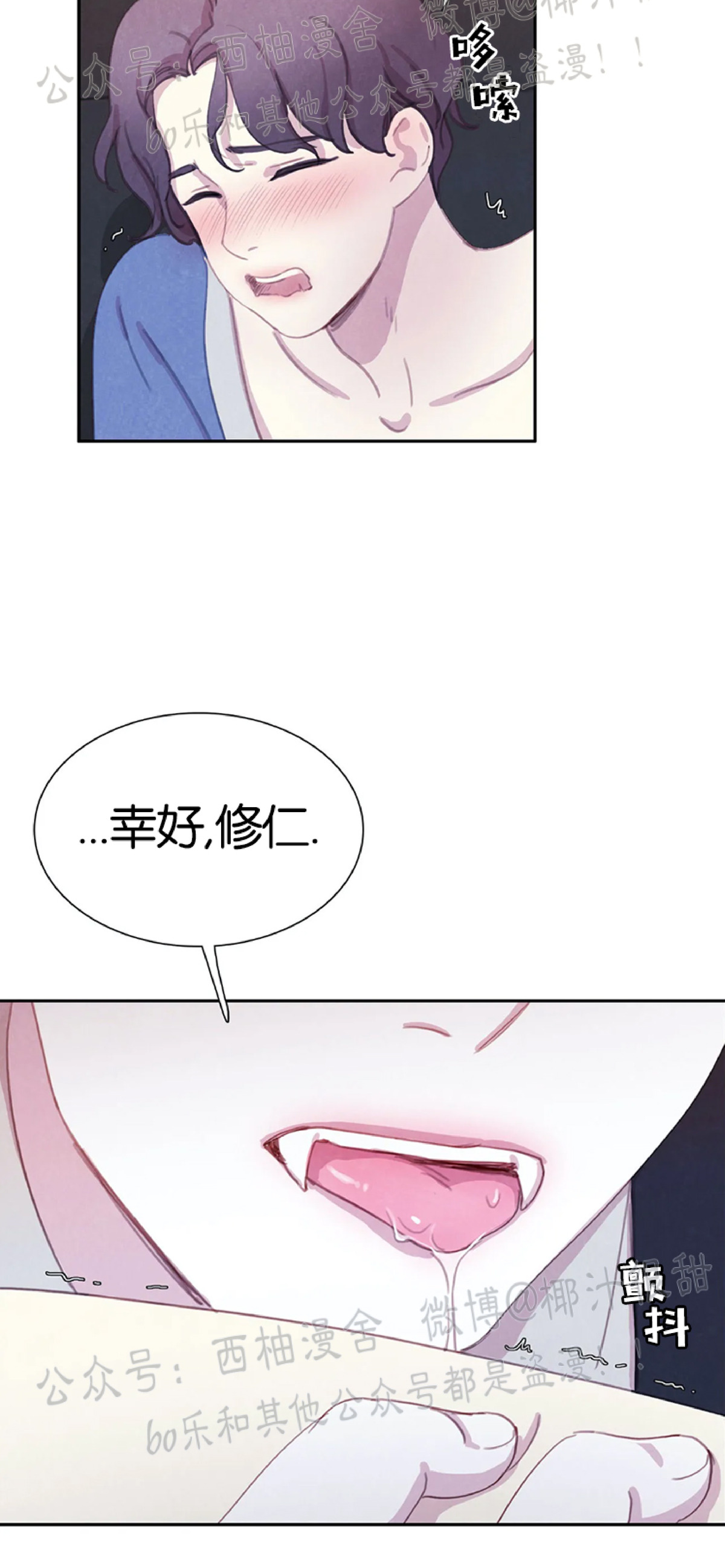 《与蝙蝠共餐/与吸血鬼共餐/与血族共生》漫画最新章节第21话免费下拉式在线观看章节第【6】张图片