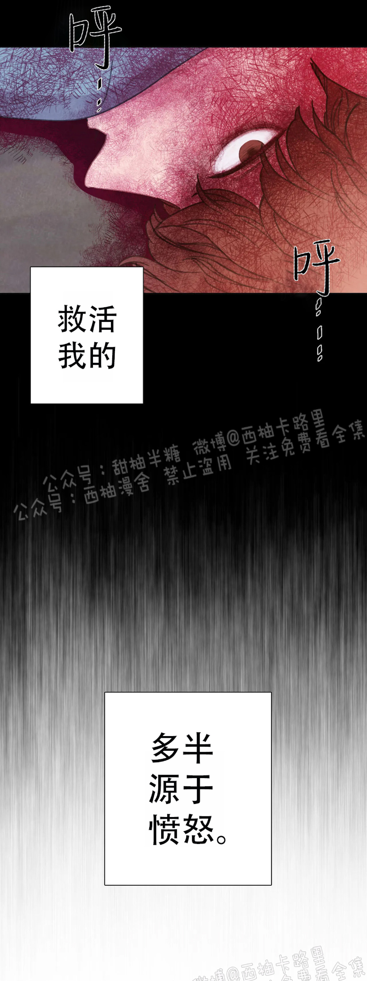 【与蝙蝠共餐/与吸血鬼共餐/与血族共生[耽美]】漫画-（第25话）章节漫画下拉式图片-16.jpg