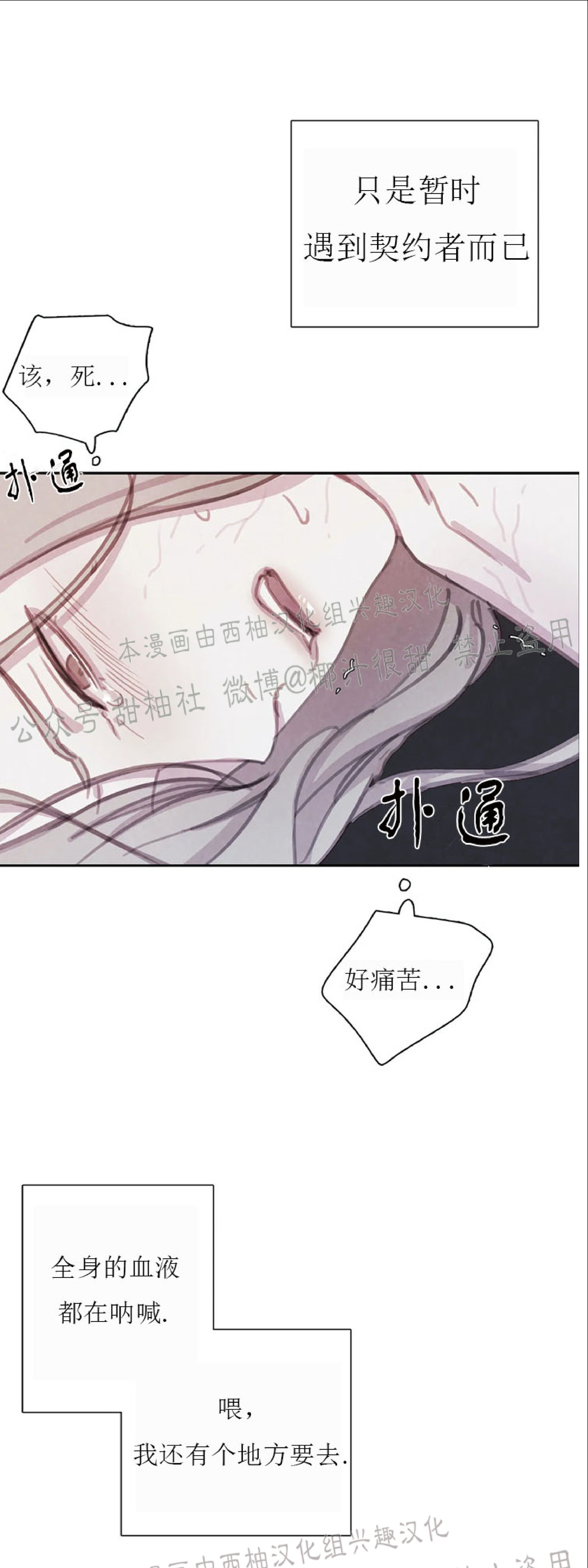 《与蝙蝠共餐/与吸血鬼共餐/与血族共生》漫画最新章节第24话免费下拉式在线观看章节第【11】张图片