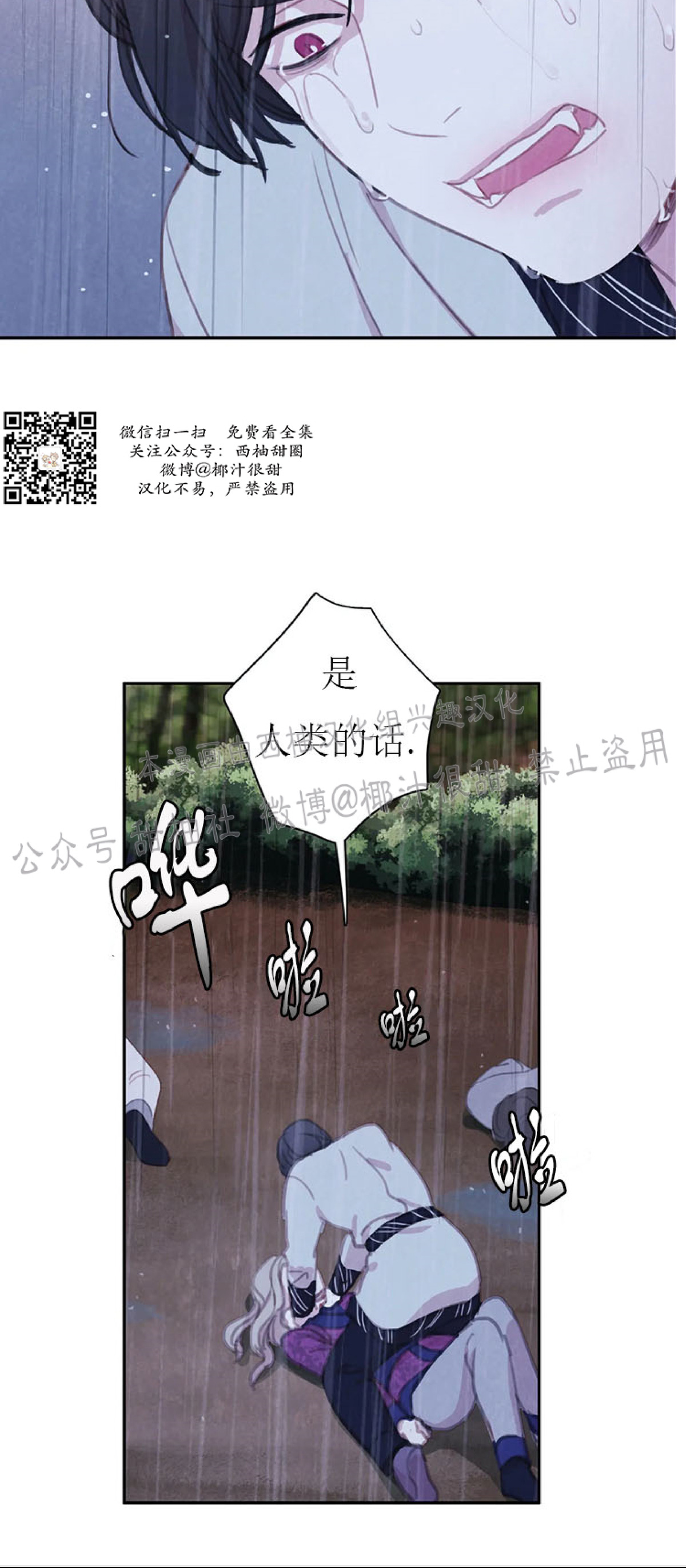 《与蝙蝠共餐/与吸血鬼共餐/与血族共生》漫画最新章节第24话免费下拉式在线观看章节第【2】张图片