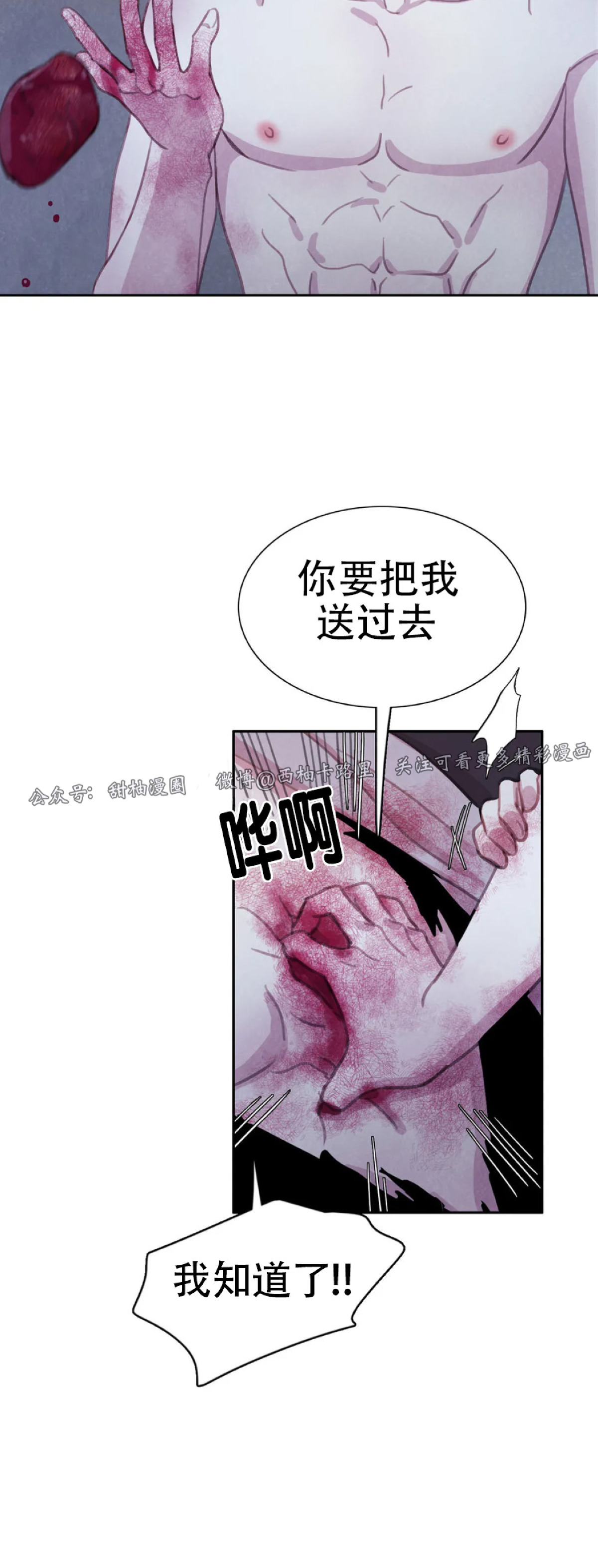 【与蝙蝠共餐/与吸血鬼共餐/与血族共生[耽美]】漫画-（第52话）章节漫画下拉式图片-第33张图片