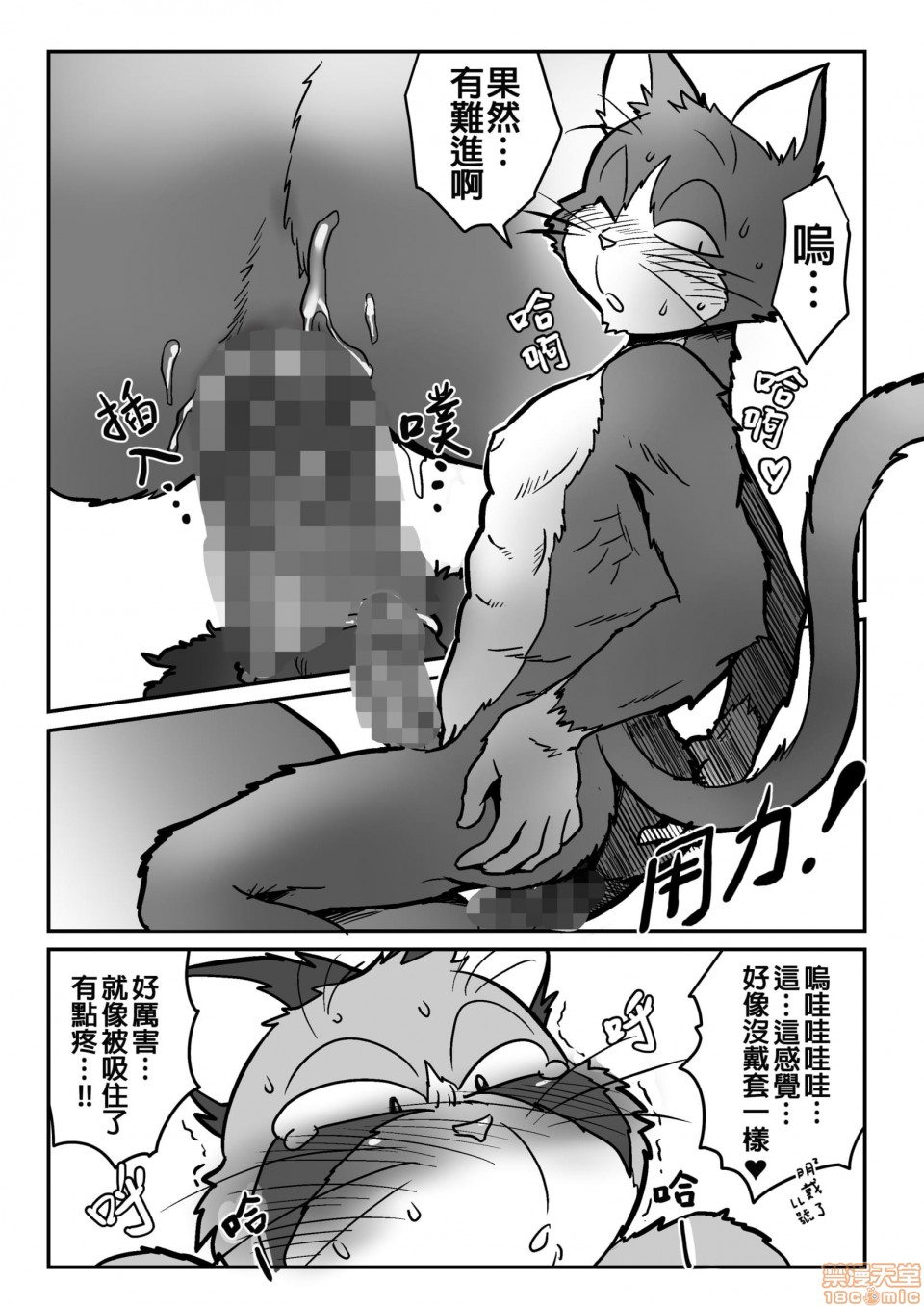 【猫x猫[耽美]】漫画-（第1话）章节漫画下拉式图片-18.jpg